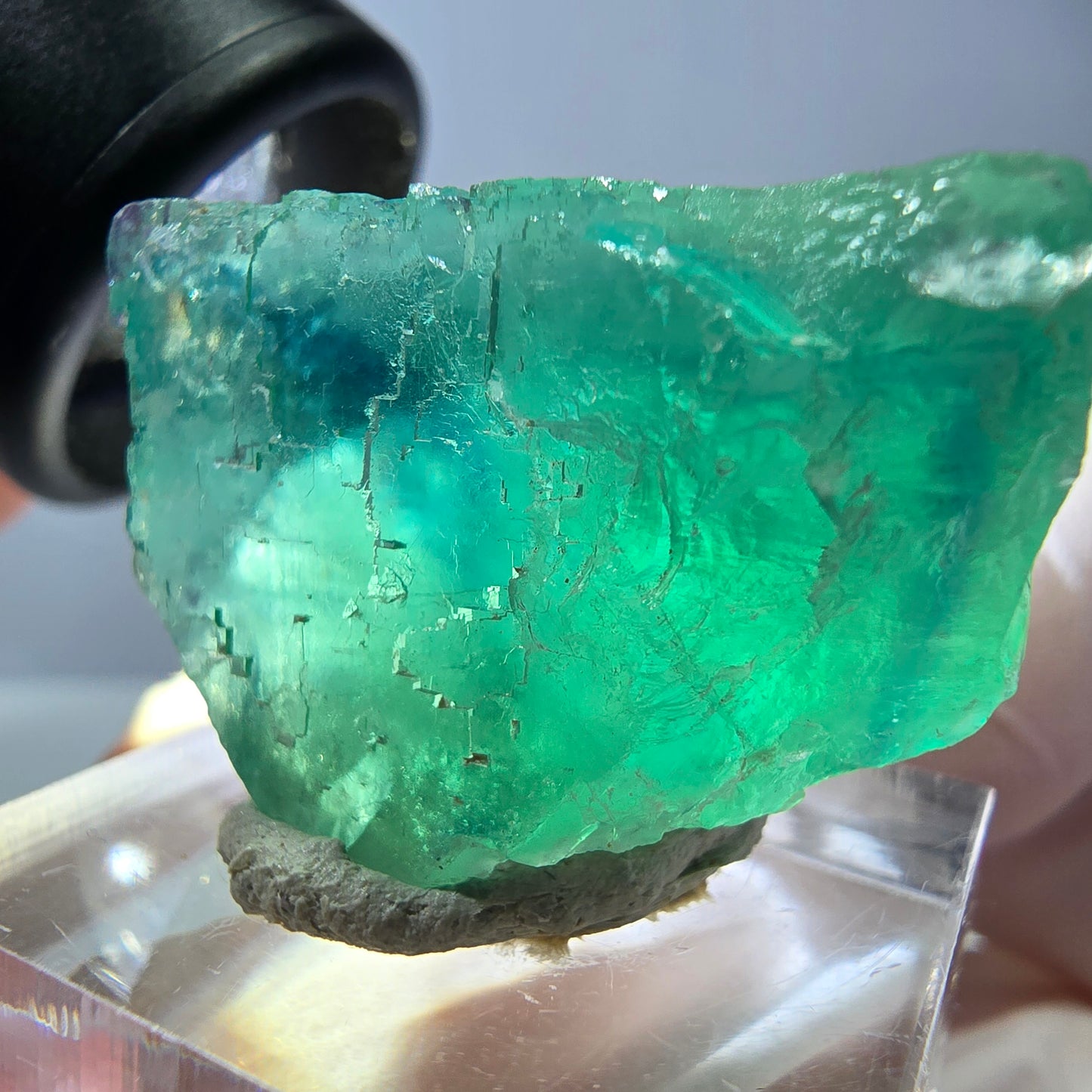 Cube de fluorite fantôme transparente parquetée, vert Okorusu, Namibie 30 x 23 x 21 mm
