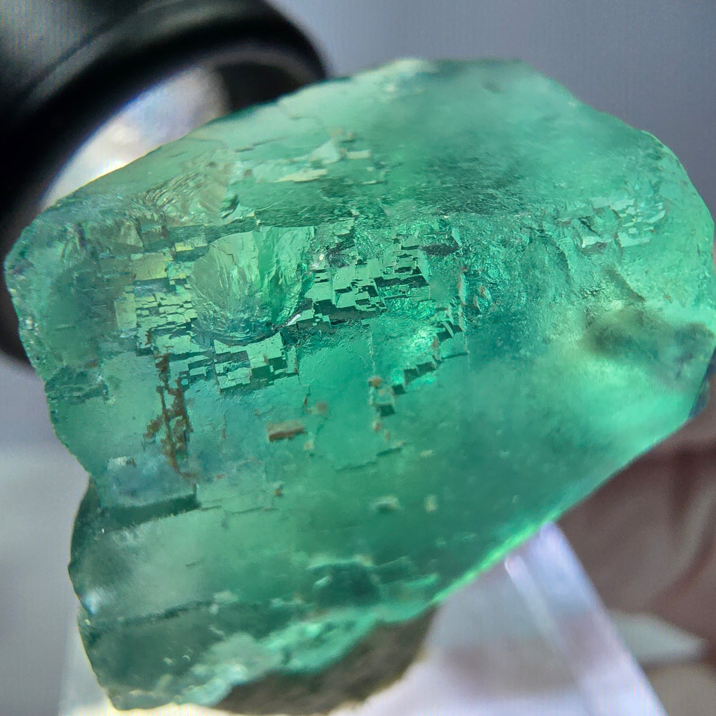 Cube de fluorite fantôme transparente parquetée, vert Okorusu, Namibie 27 x 24 x 23 mm