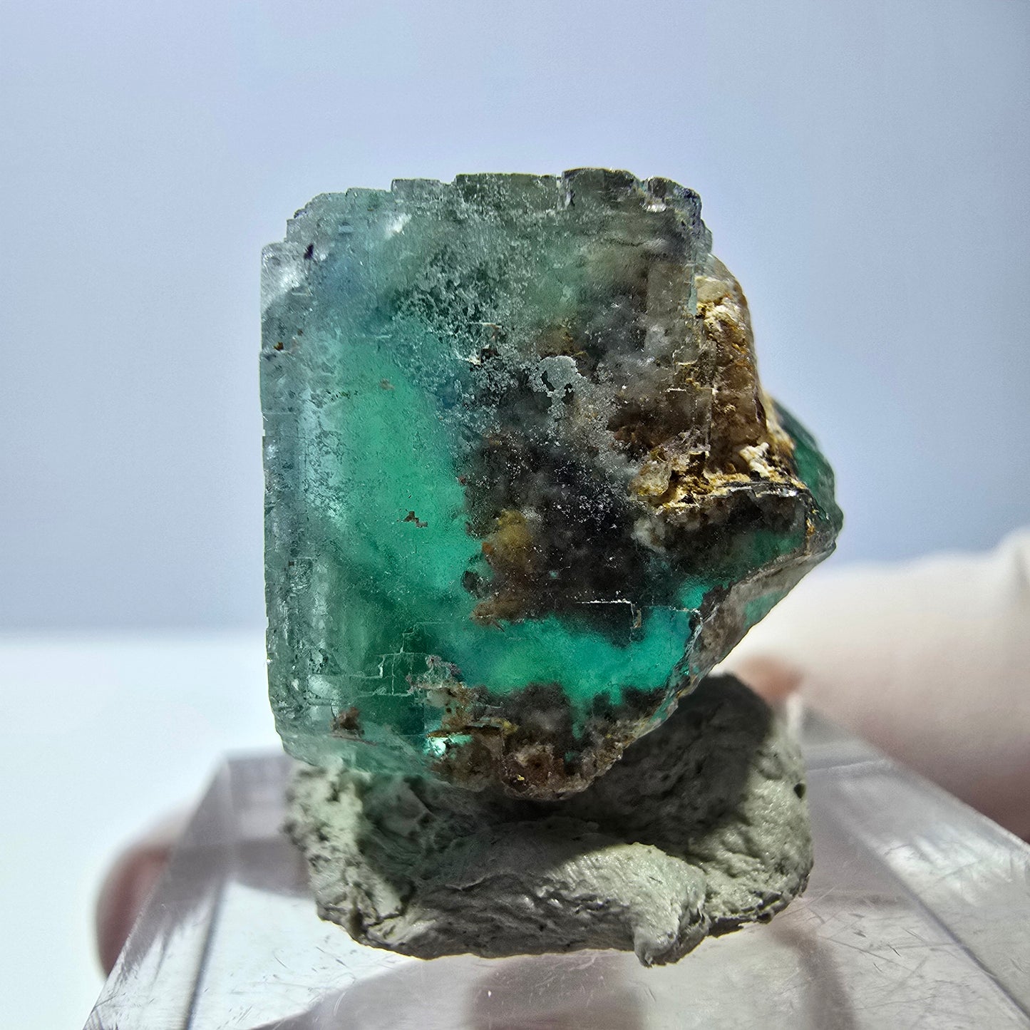 Cube de fluorite fantôme transparente parquetée, vert Okorusu, Namibie 21 x 21 x 19 mm