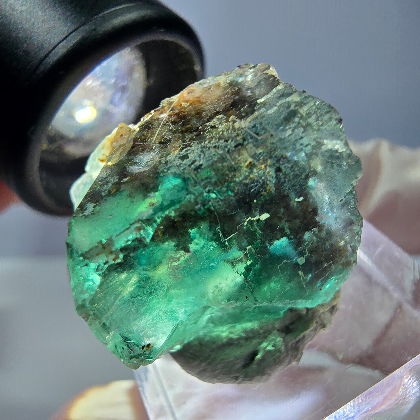 Cube de fluorite fantôme transparente parquetée, vert Okorusu, Namibie 21 x 21 x 19 mm