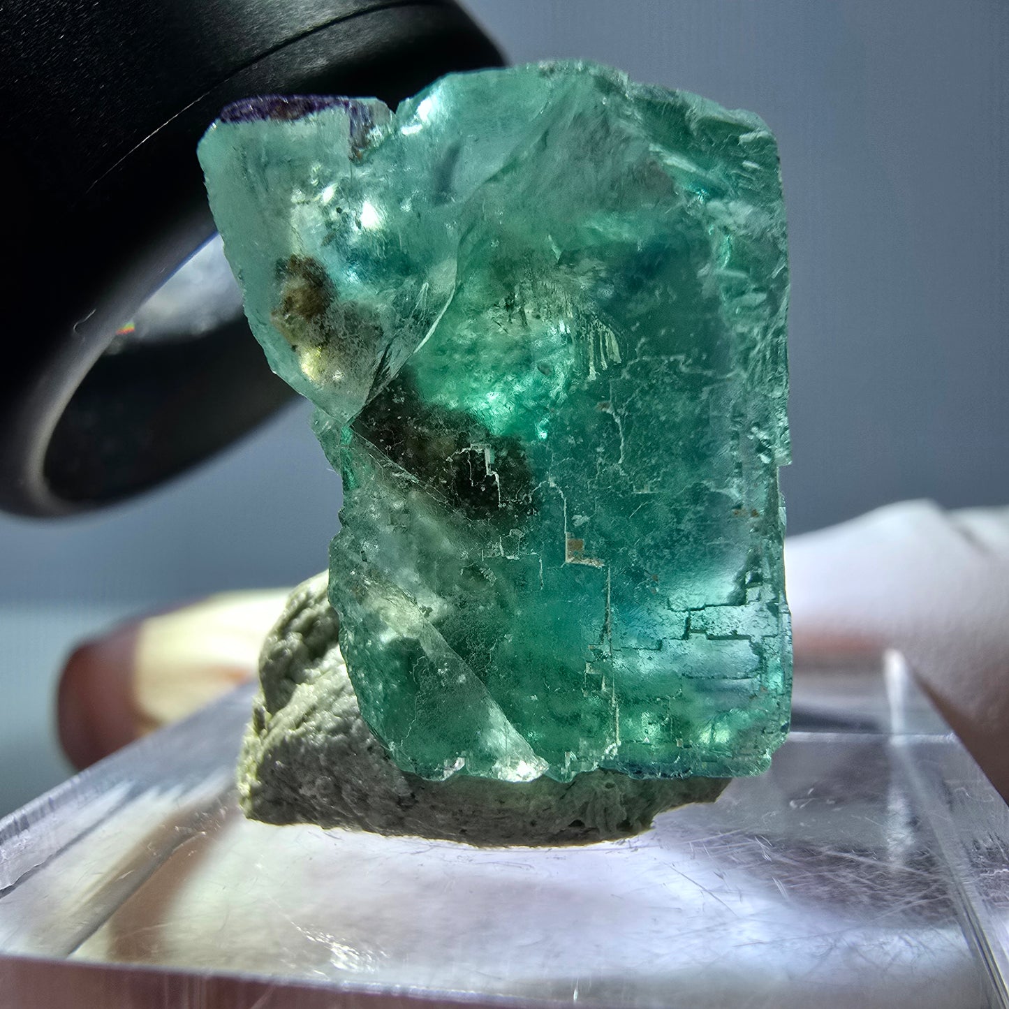 Cube de fluorite fantôme transparente parquetée, vert Okorusu, Namibie 19 x 19 x 15 mm