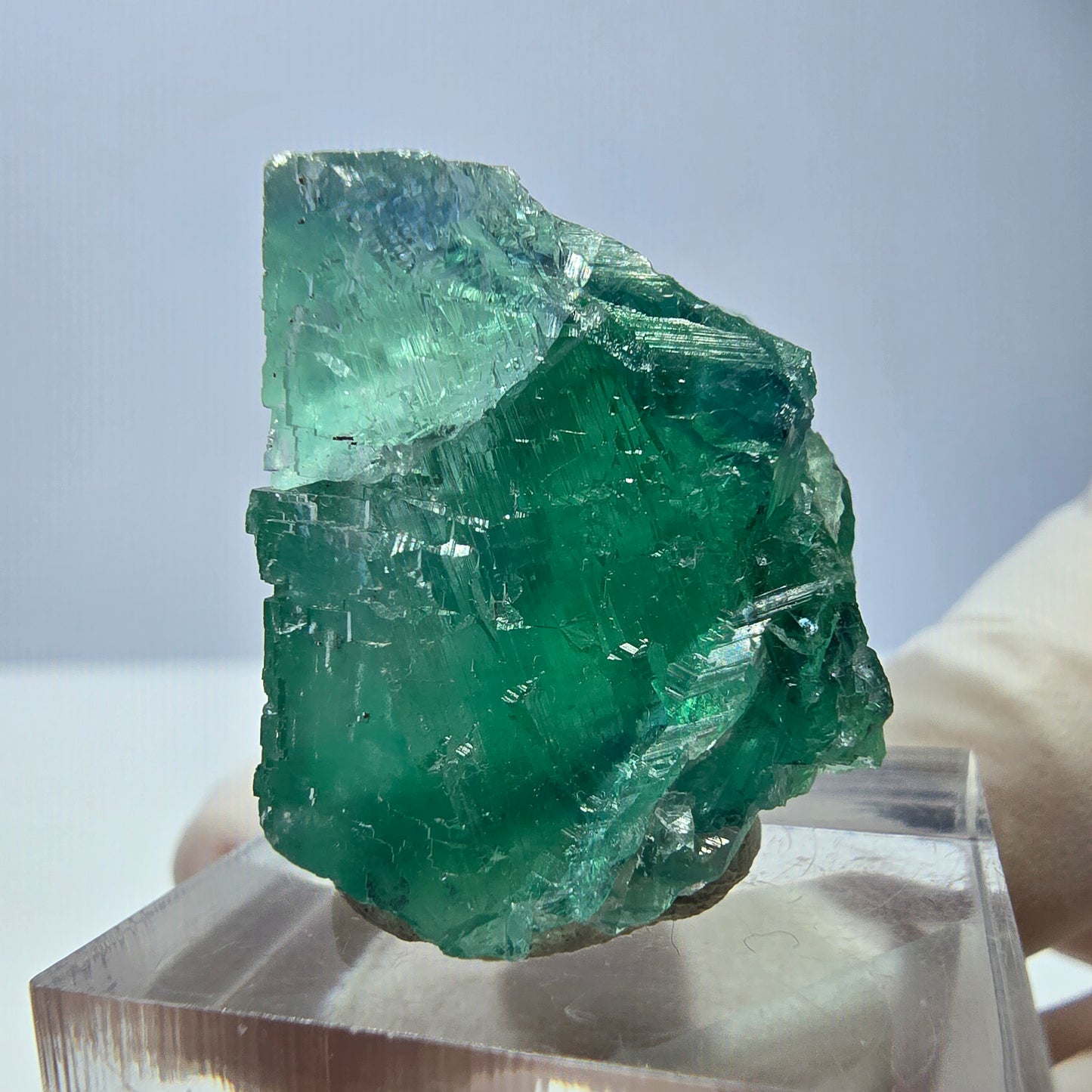 Cube de fluorite fantôme transparente parquetée, vert Okorusu, Namibie 28 x 24 x 20 mm