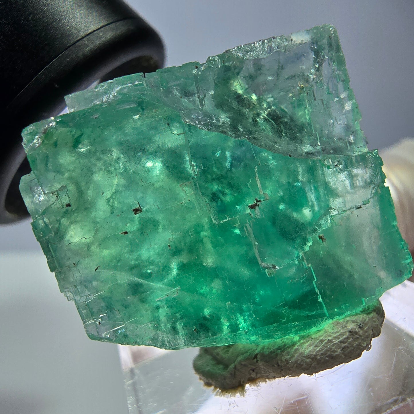 Cube de fluorite fantôme transparente parquetée, vert Okorusu, Namibie 28 x 24 x 20 mm