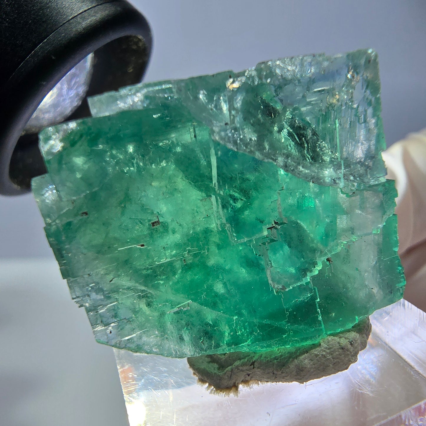 Cube de fluorite fantôme transparente parquetée, vert Okorusu, Namibie 28 x 24 x 20 mm