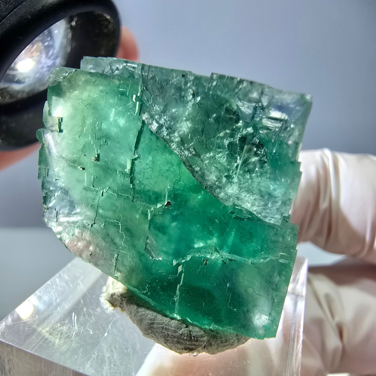 Cube de fluorite fantôme transparente parquetée, vert Okorusu, Namibie 28 x 24 x 20 mm