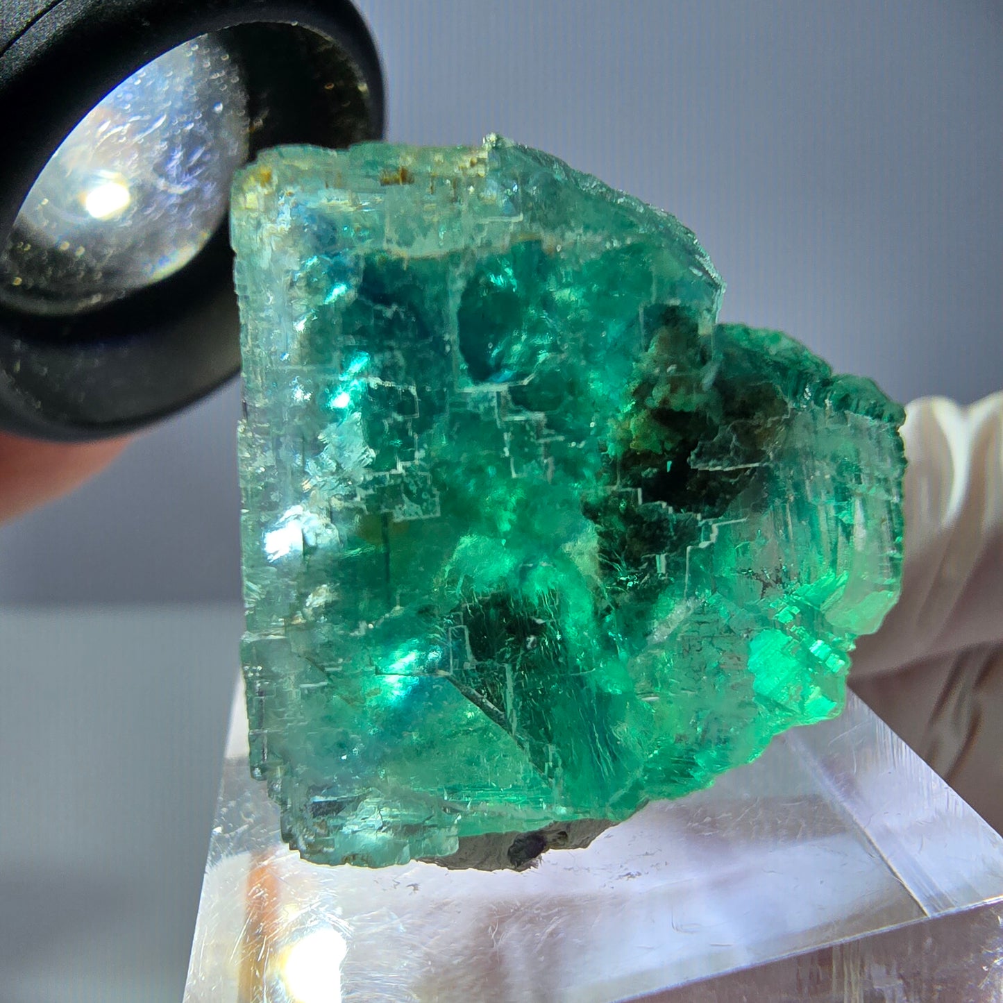 Cube de fluorite fantôme transparente parquetée, vert Okorusu, Namibie 23*23*22mm