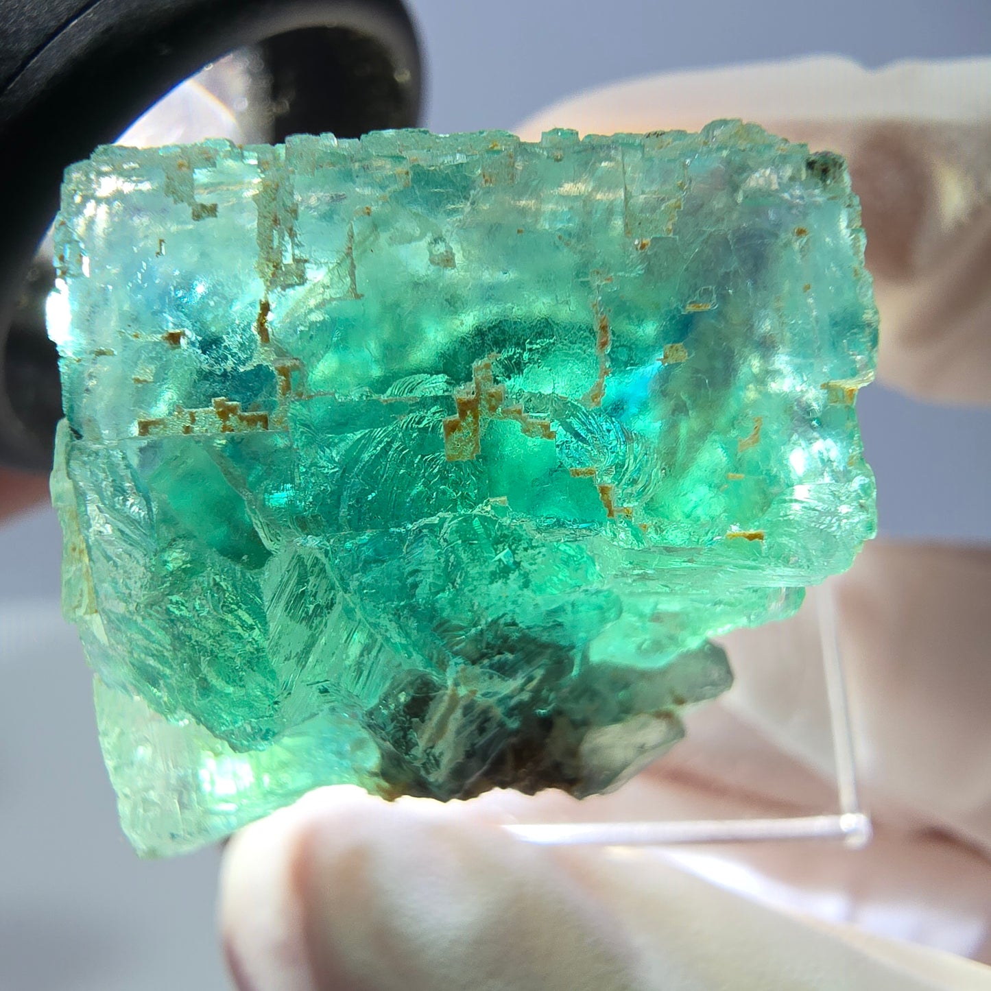 Cube de fluorite fantôme transparente parquetée, vert Okorusu, Namibie 23*23*22mm