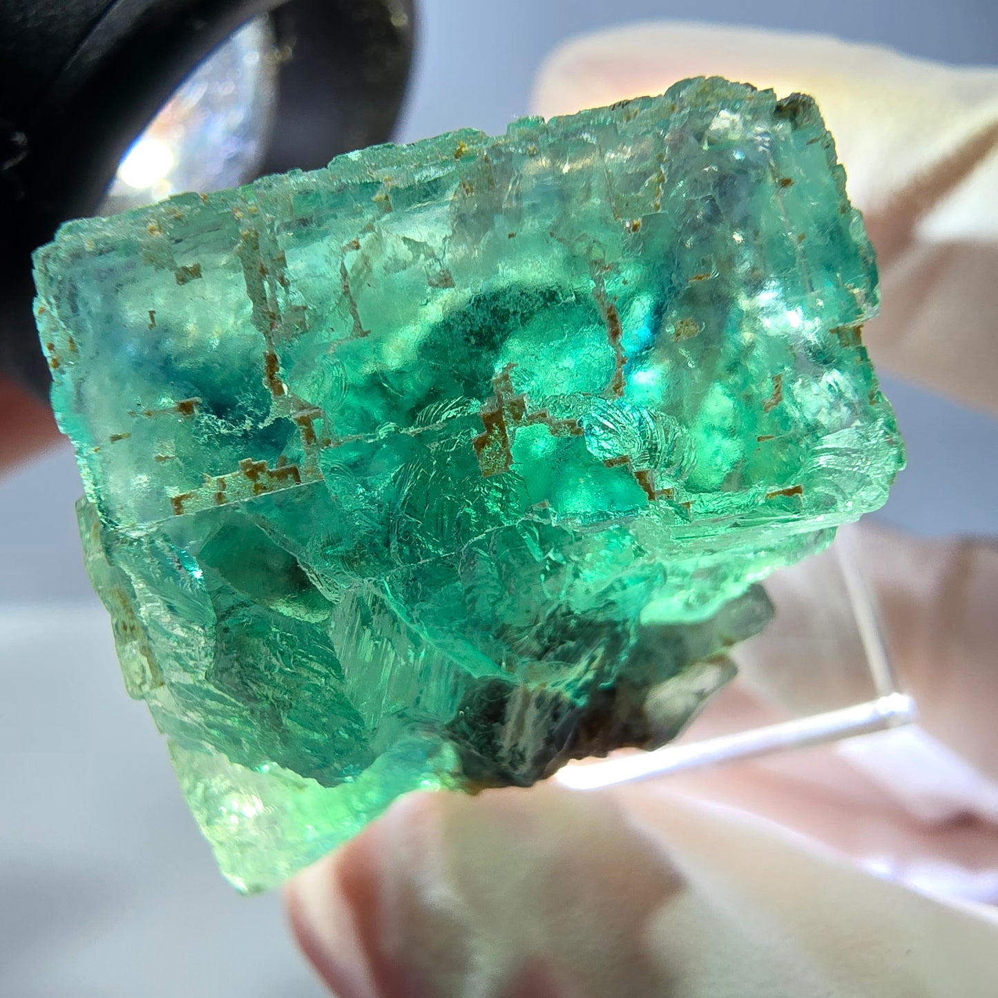 Cube de fluorite fantôme transparente parquetée, vert Okorusu, Namibie 23*23*22mm