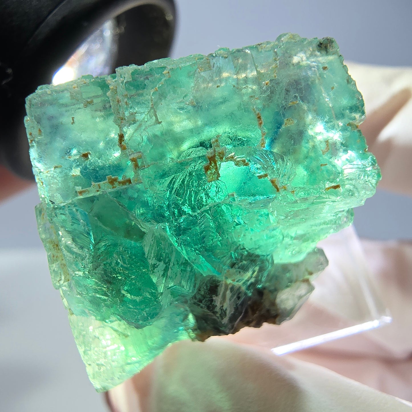 Cube de fluorite fantôme transparente parquetée, vert Okorusu, Namibie 23*23*22mm