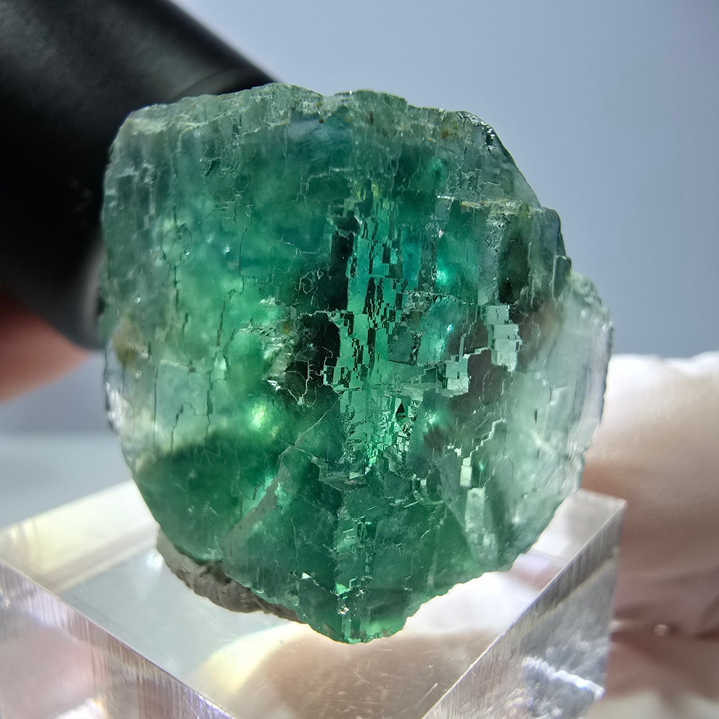 Cube de fluorite fantôme transparente parquetée, vert Okorusu, Namibie 23*23*22mm