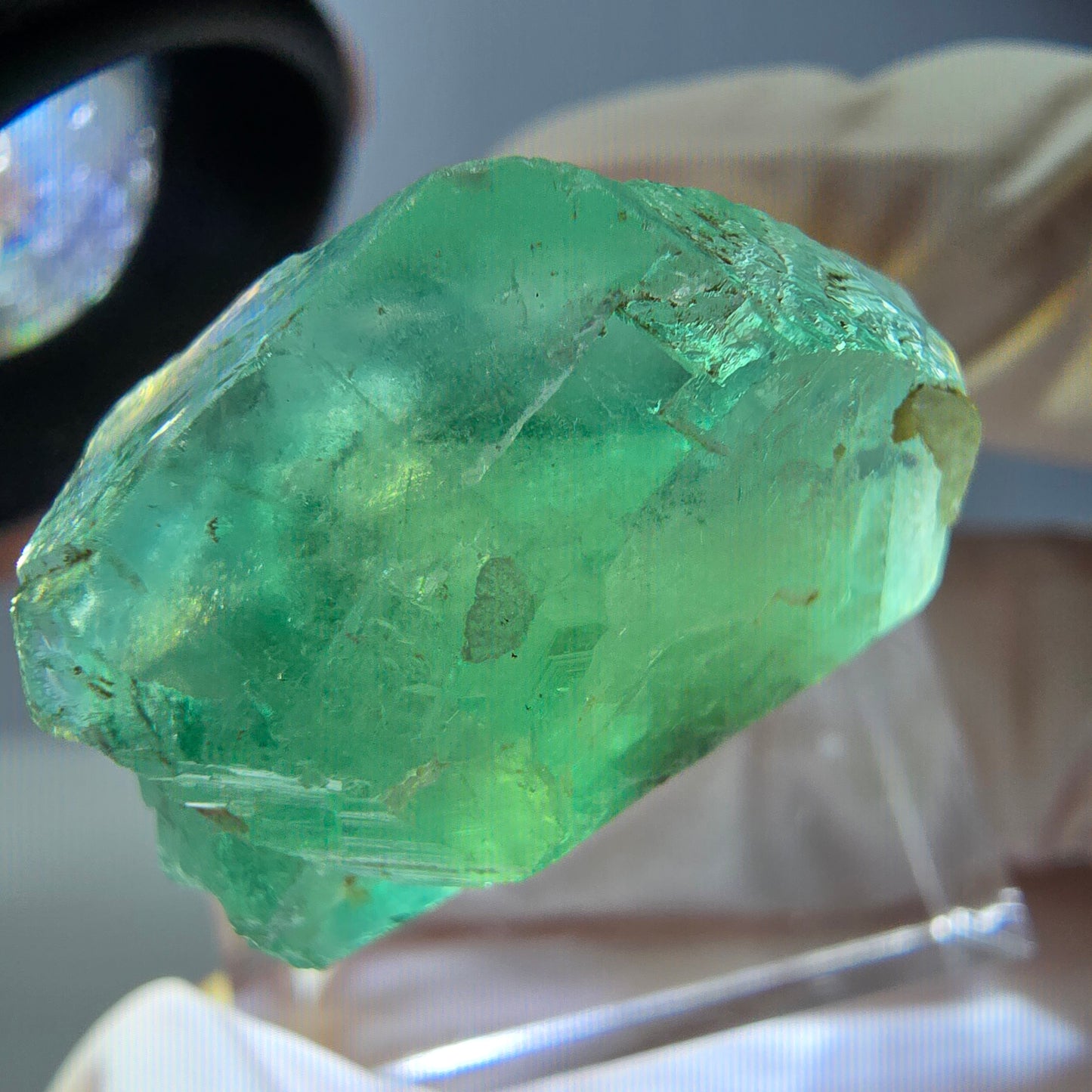 Cube de fluorite fantôme transparente parquetée, vert Okorusu, Namibie 23 x 23 x 17 mm