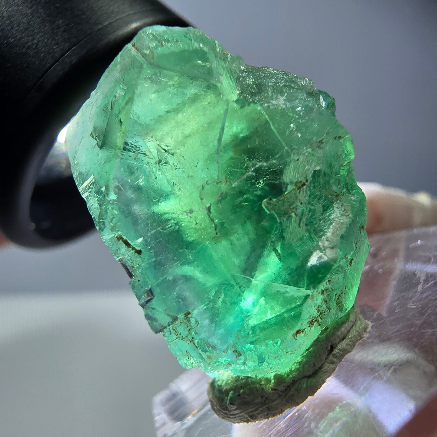 Cube de fluorite fantôme transparente parquetée, vert Okorusu, Namibie 23 x 23 x 17 mm
