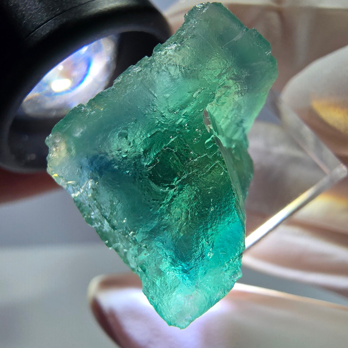Cube de fluorite fantôme transparente parquetée, vert Okorusu, Namibie 21 x 21 x 19 mm