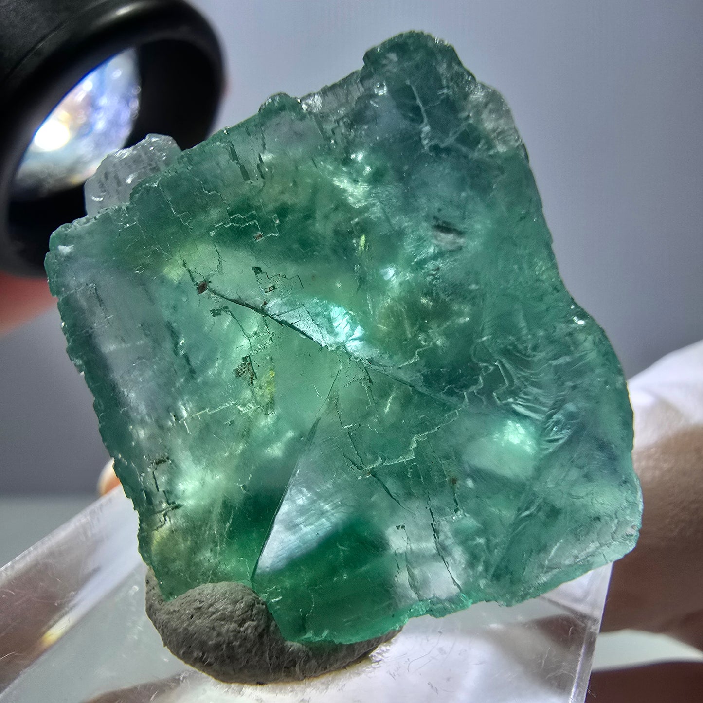 Cube de fluorite fantôme transparente parquetée, vert Okorusu, Namibie 28 x 25 x 14 mm