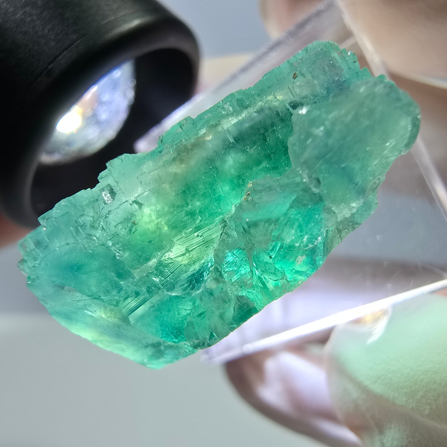 Cube de fluorite fantôme transparente parquetée, vert Okorusu, Namibie 28 x 25 x 14 mm