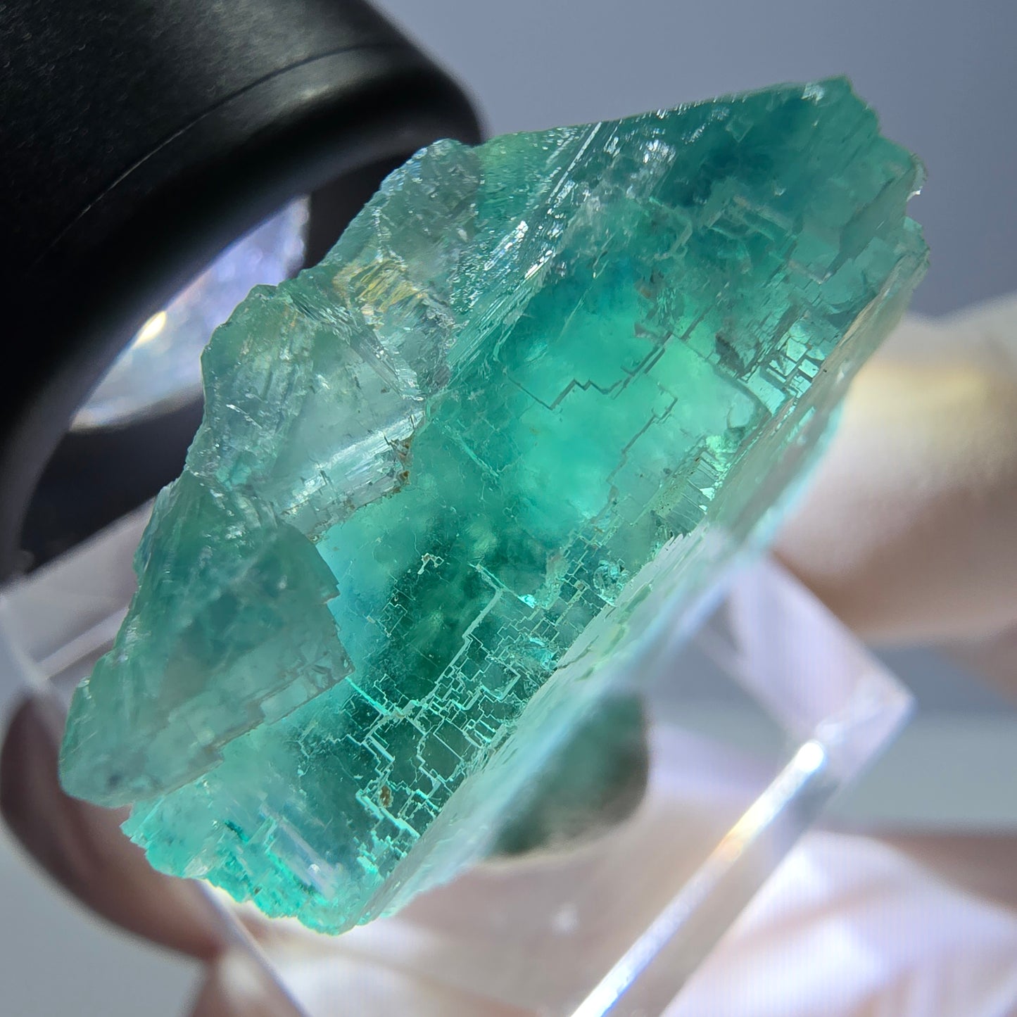 Cube de fluorite fantôme transparente parquetée, vert Okorusu, Namibie 28 x 25 x 14 mm