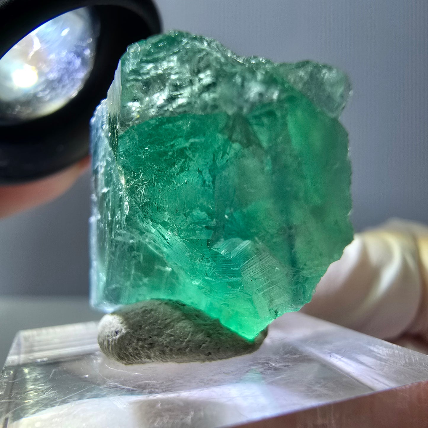 Cube de fluorite fantôme transparente parquetée, vert Okorusu, Namibie 28 x 21 x 10 mm
