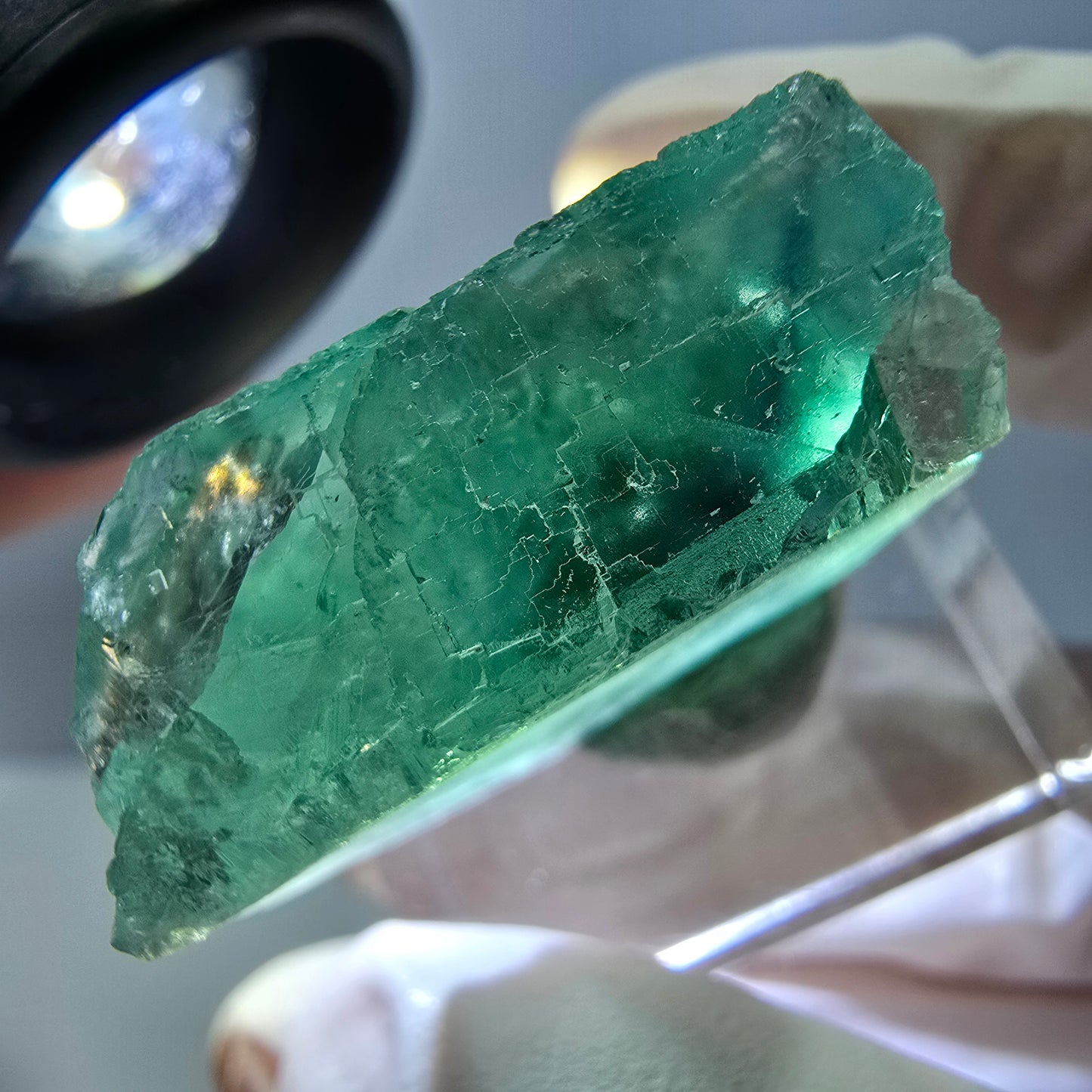 Cube de fluorite fantôme transparente parquetée, vert Okorusu, Namibie 28 x 21 x 10 mm