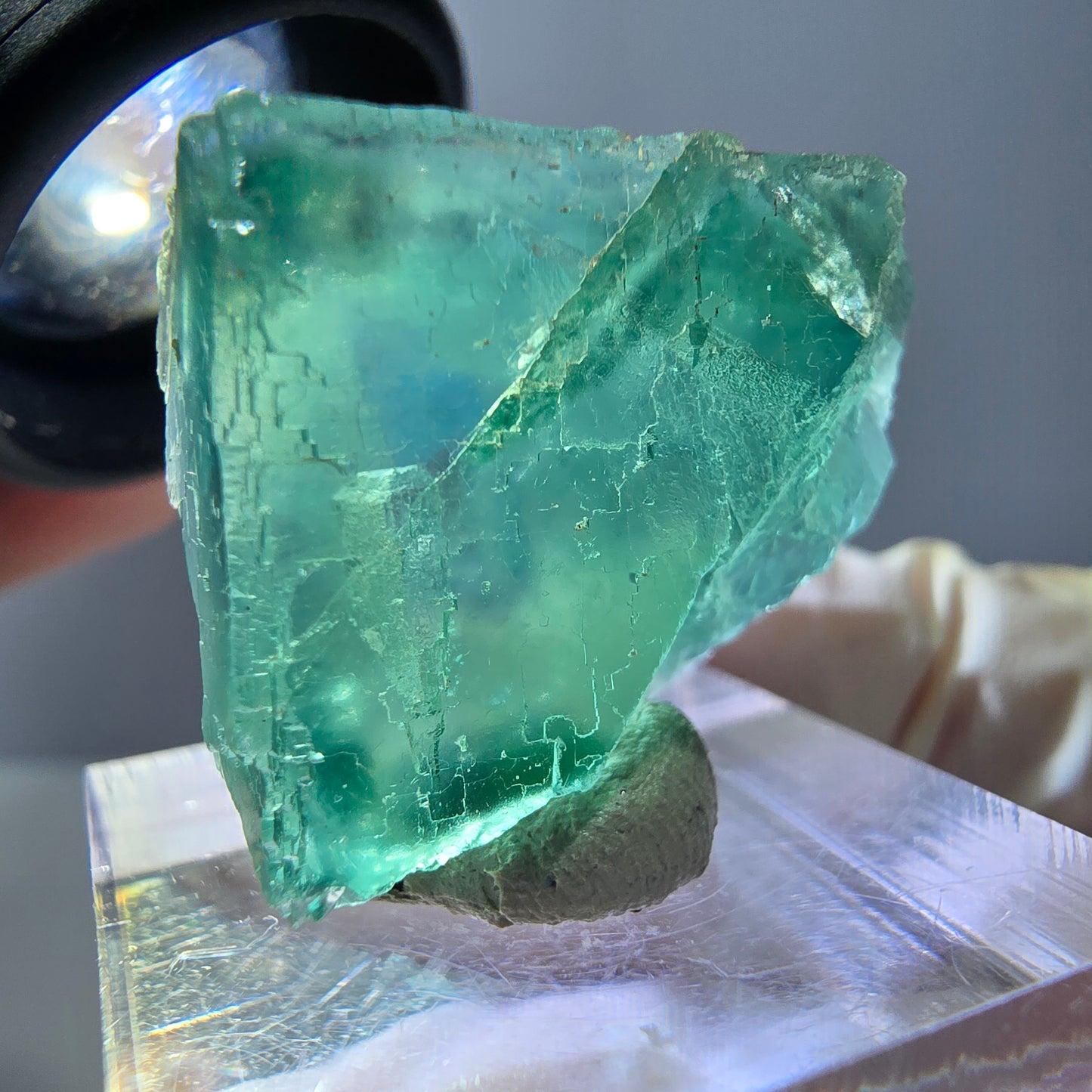 Cube de fluorite fantôme transparente parquetée, vert Okorusu, Namibie 28 x 21 x 10 mm