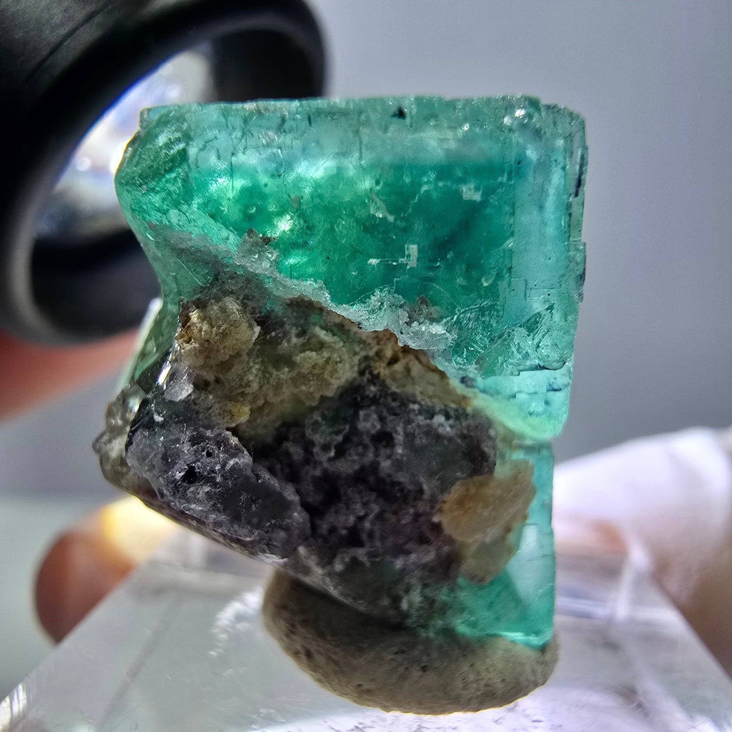 Cube de fluorite fantôme transparente parquetée, vert Okorusu, Namibie 23 x 21 x 19 mm
