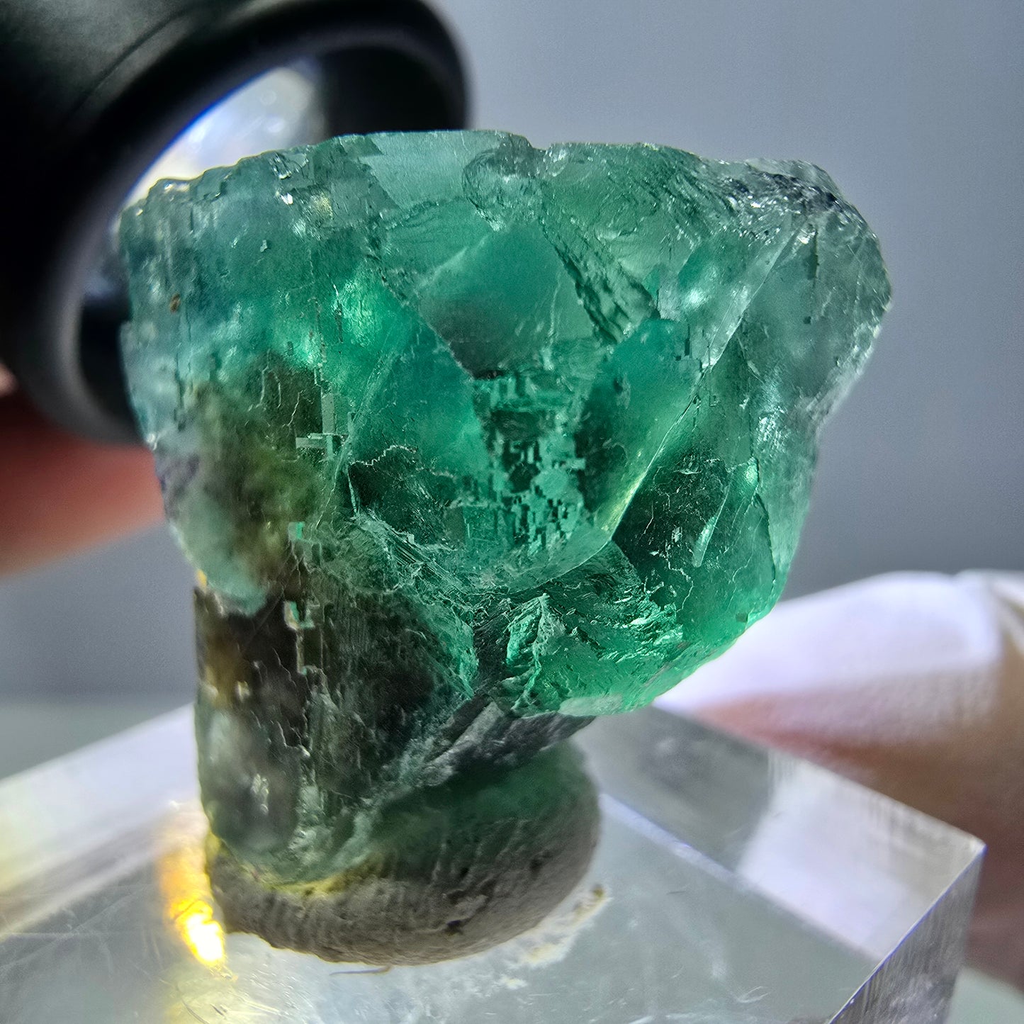Cube de fluorite fantôme transparente parquetée, vert Okorusu, Namibie 23 x 21 x 19 mm