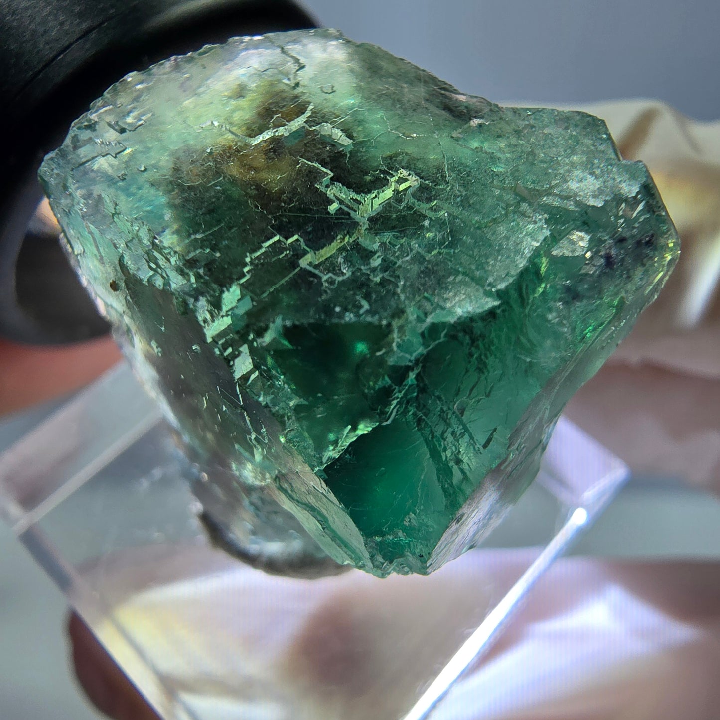 Cube de fluorite fantôme transparente parquetée, vert Okorusu, Namibie 23 x 21 x 19 mm