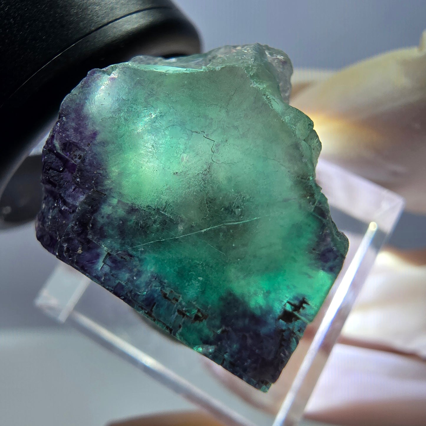 Cube de fluorite fantôme parqueté, zonal, vert violet Okorusu, Namibie 27*22*18mm