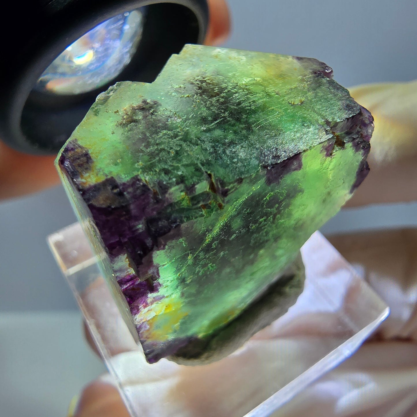 Cube de fluorite fantôme parqueté, zonal, vert violet Okorusu, Namibie 24*22*17mm