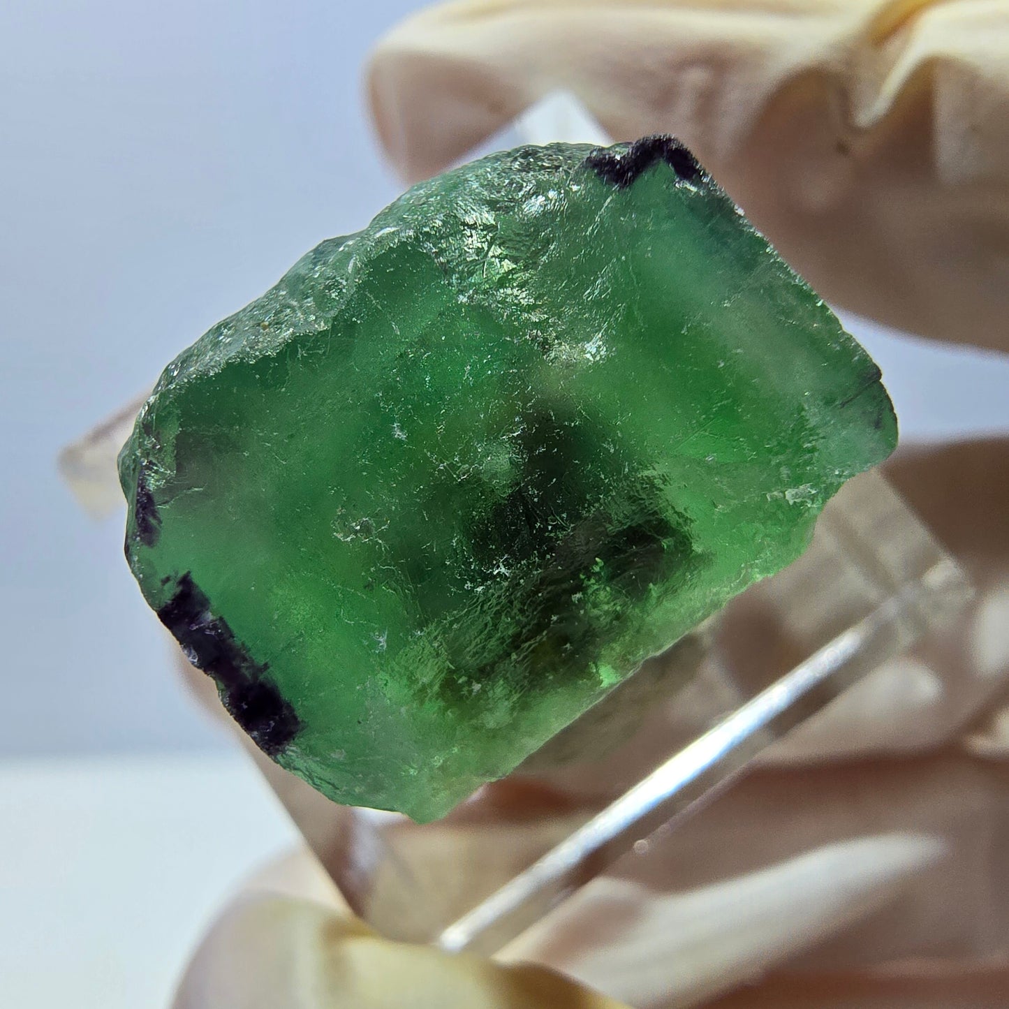 Cube de fluorite fantôme parqueté, zonal, vert violet Okorusu, Namibie 18*17*15mm