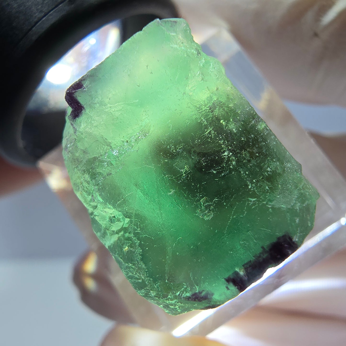 Cube de fluorite fantôme parqueté, zonal, vert violet Okorusu, Namibie 18*17*15mm