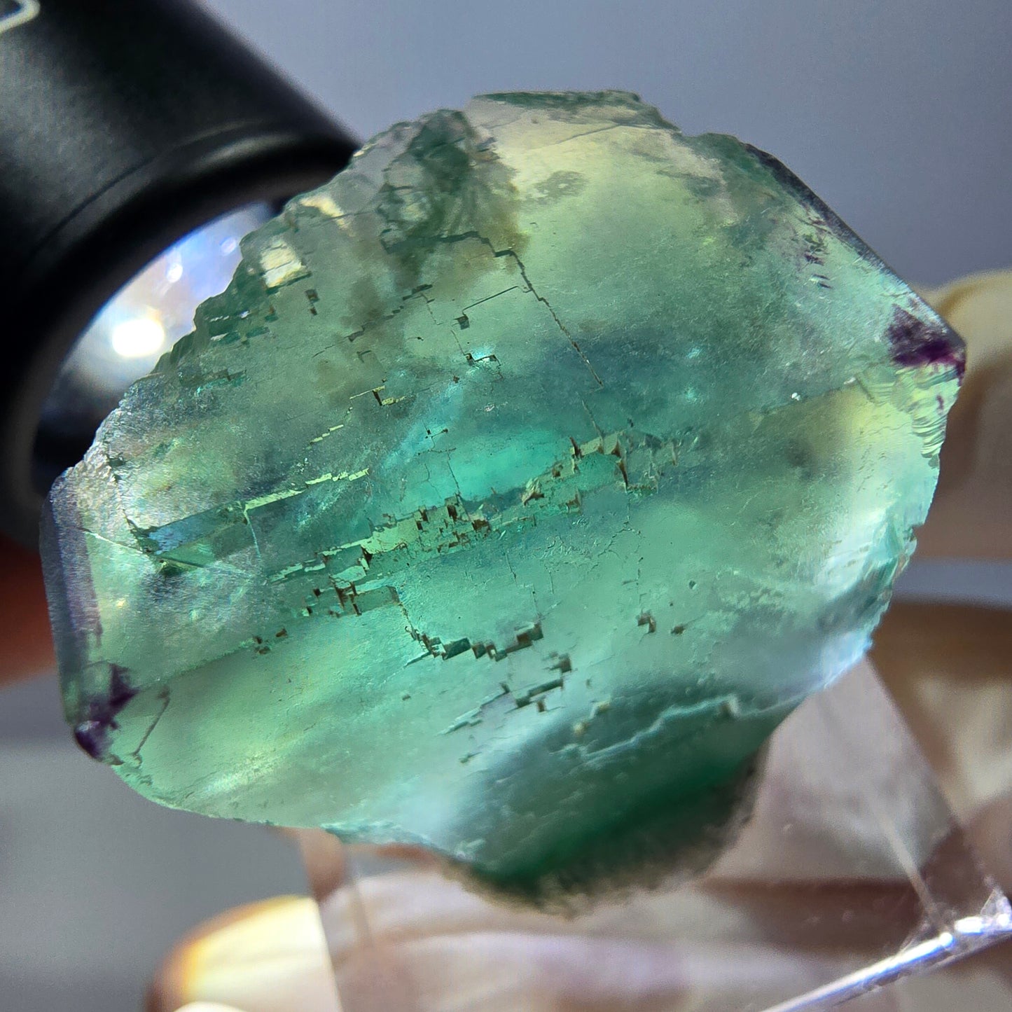 Cube de fluorite fantôme parqueté, zonal, vert violet Okorusu, Namibie 27*27*20mm