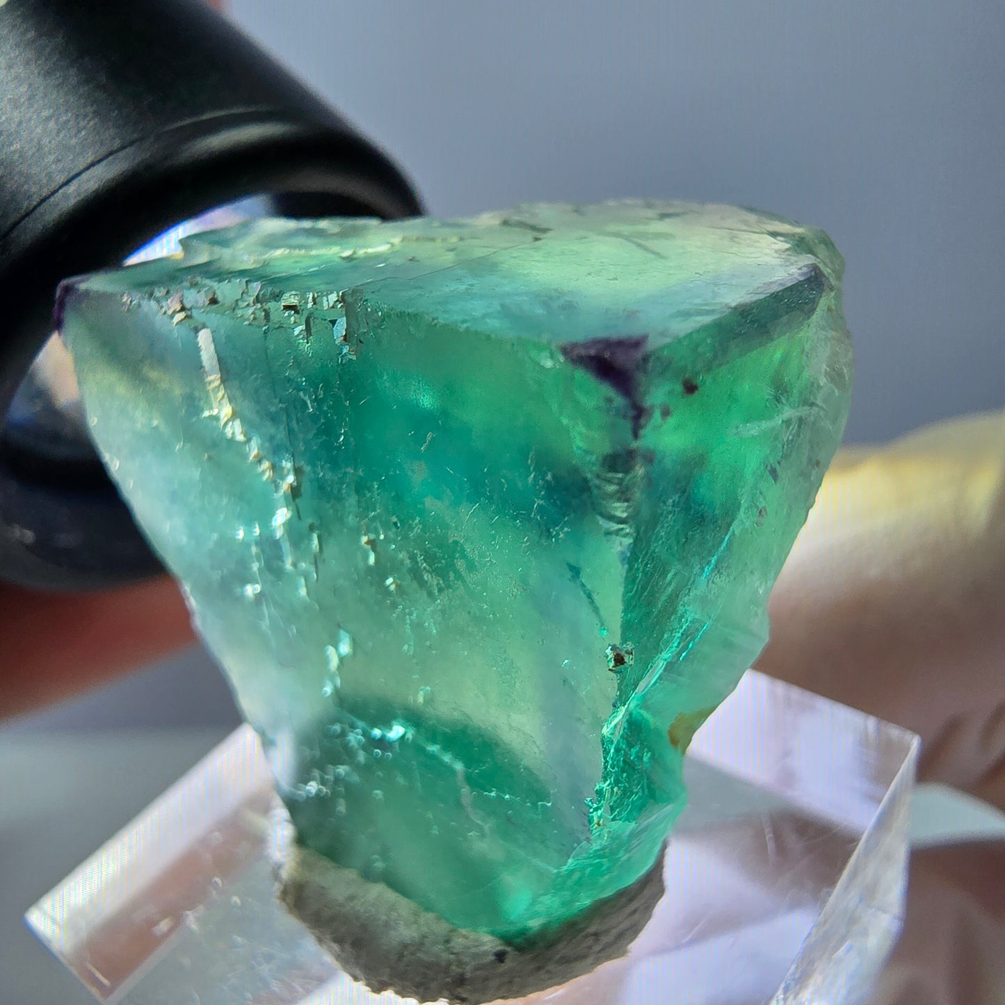Cube de fluorite fantôme parqueté, zonal, vert violet Okorusu, Namibie 27*27*20mm