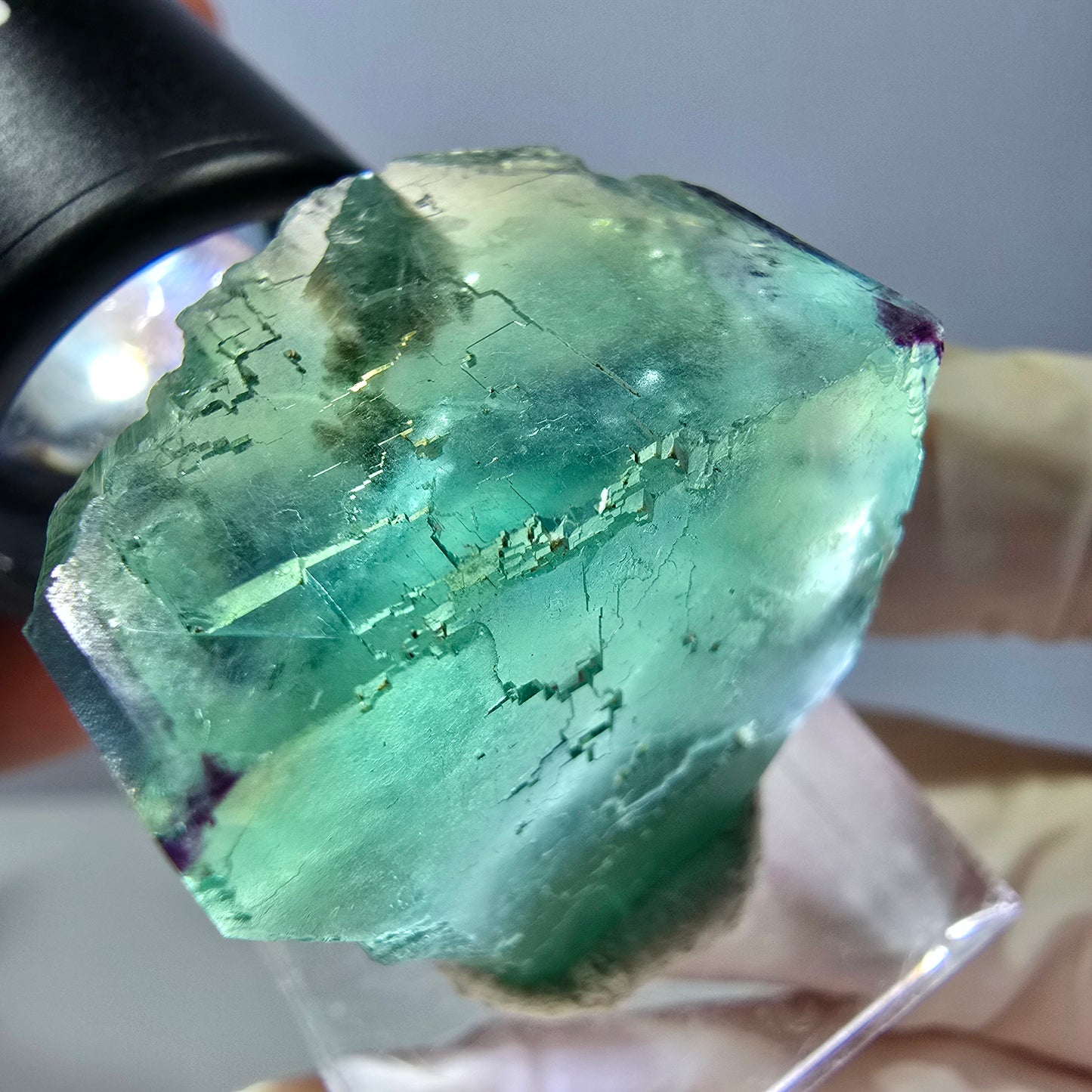 Cube de fluorite fantôme parqueté, zonal, vert violet Okorusu, Namibie 27*27*20mm