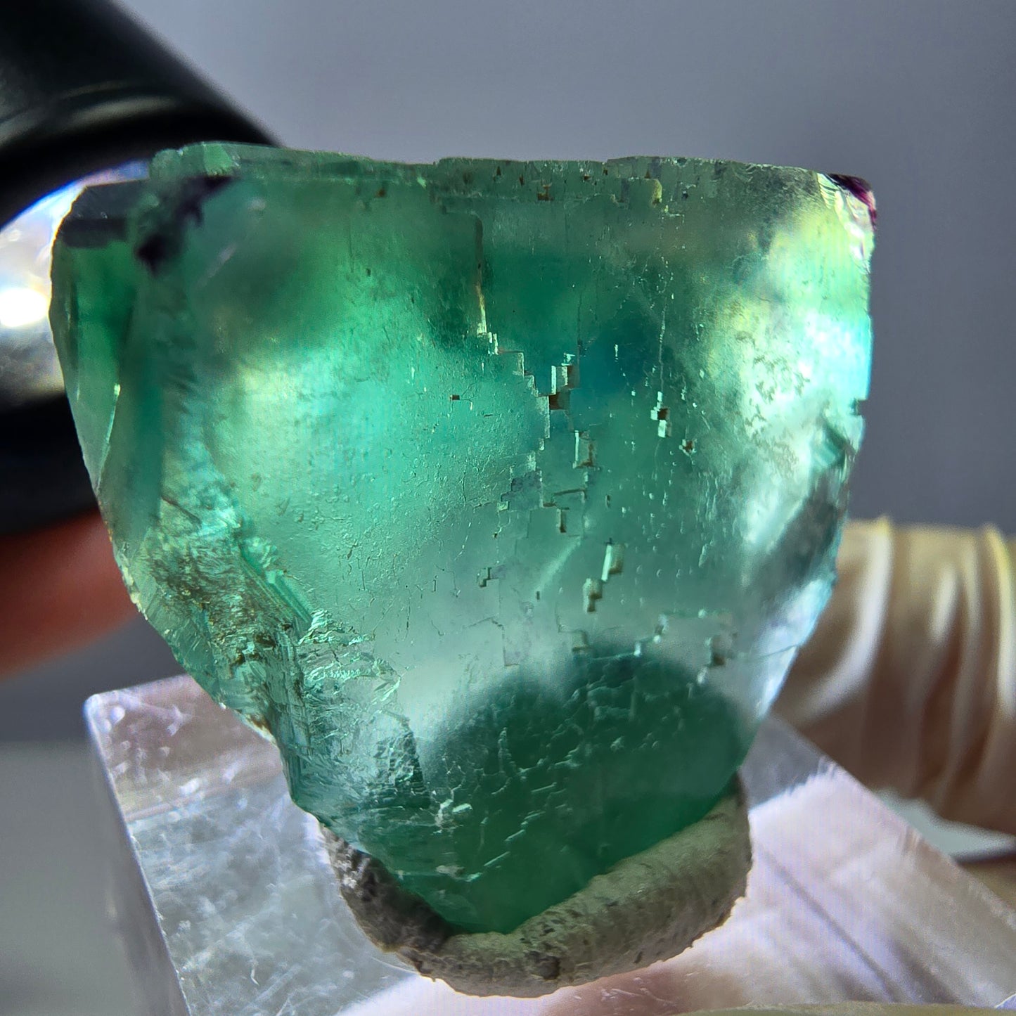 Cube de fluorite fantôme parqueté, zonal, vert violet Okorusu, Namibie 27*27*20mm