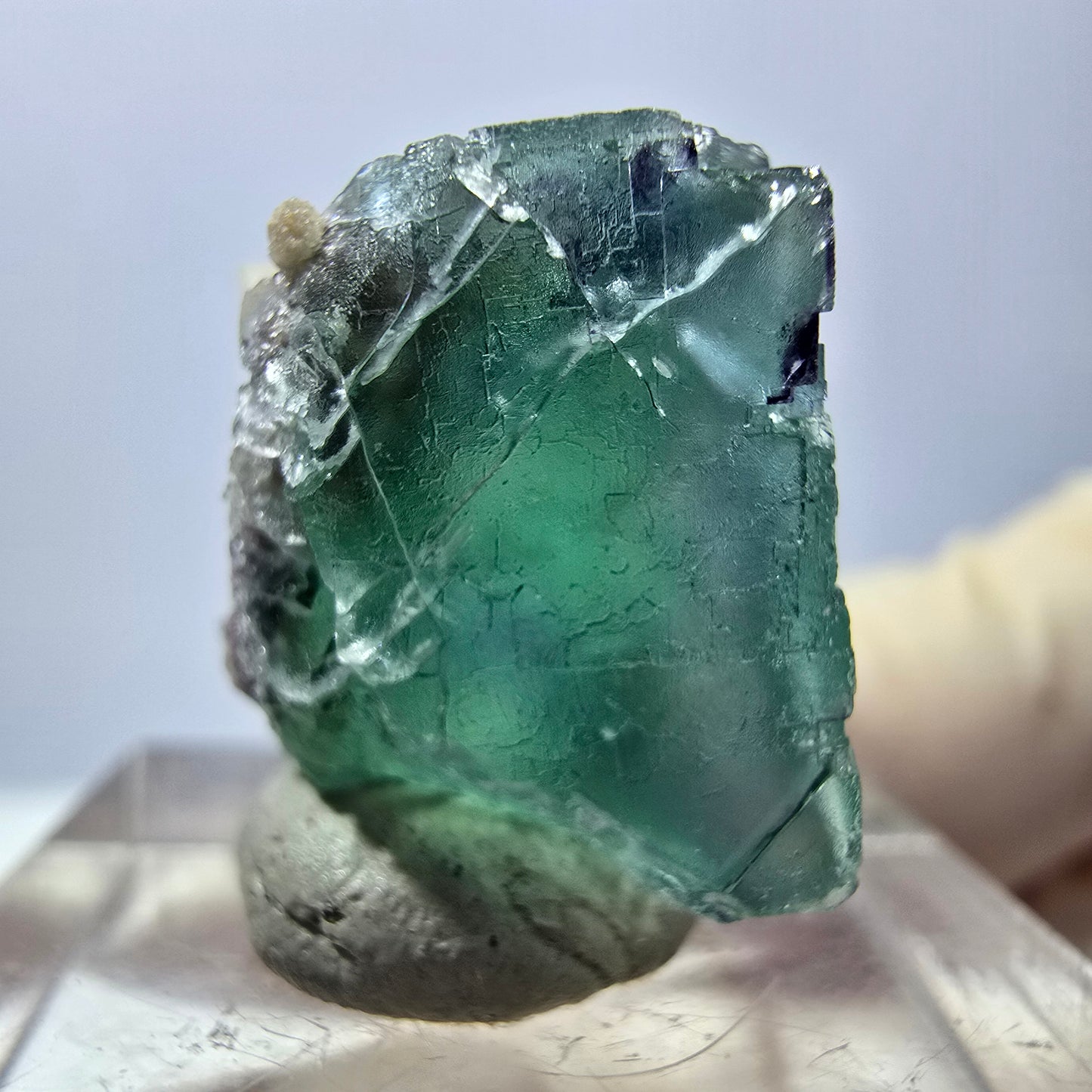 Phantom Fluorit Würfel parkettiert, zonal, grün lila Okorusu, Namibia 18*17*15mm