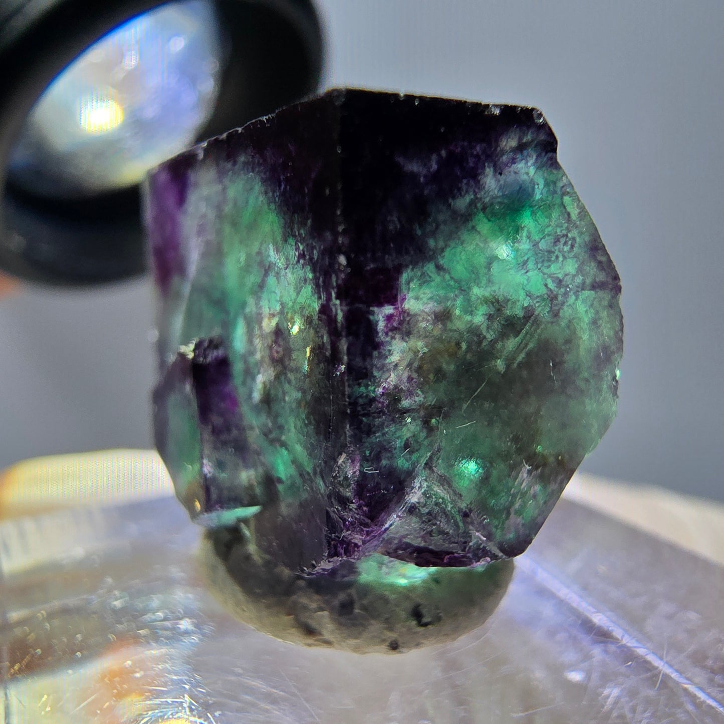 Phantom Fluorit Würfel parkettiert, zonal, grün lila Okorusu, Namibia 20*18*15mm