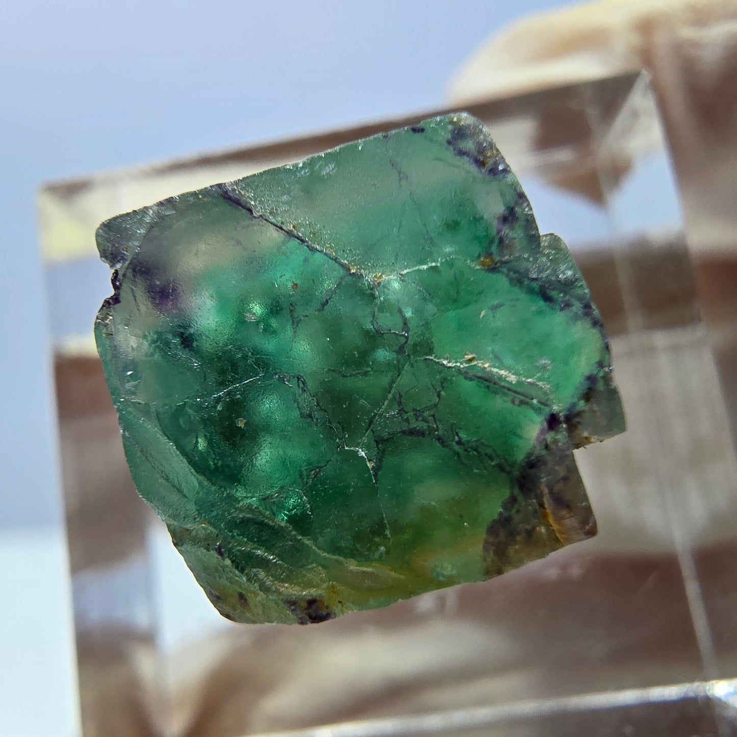 Phantom Fluorit Würfel parkettiert, grün lila Okorusu, Namibia 12*12*12mm