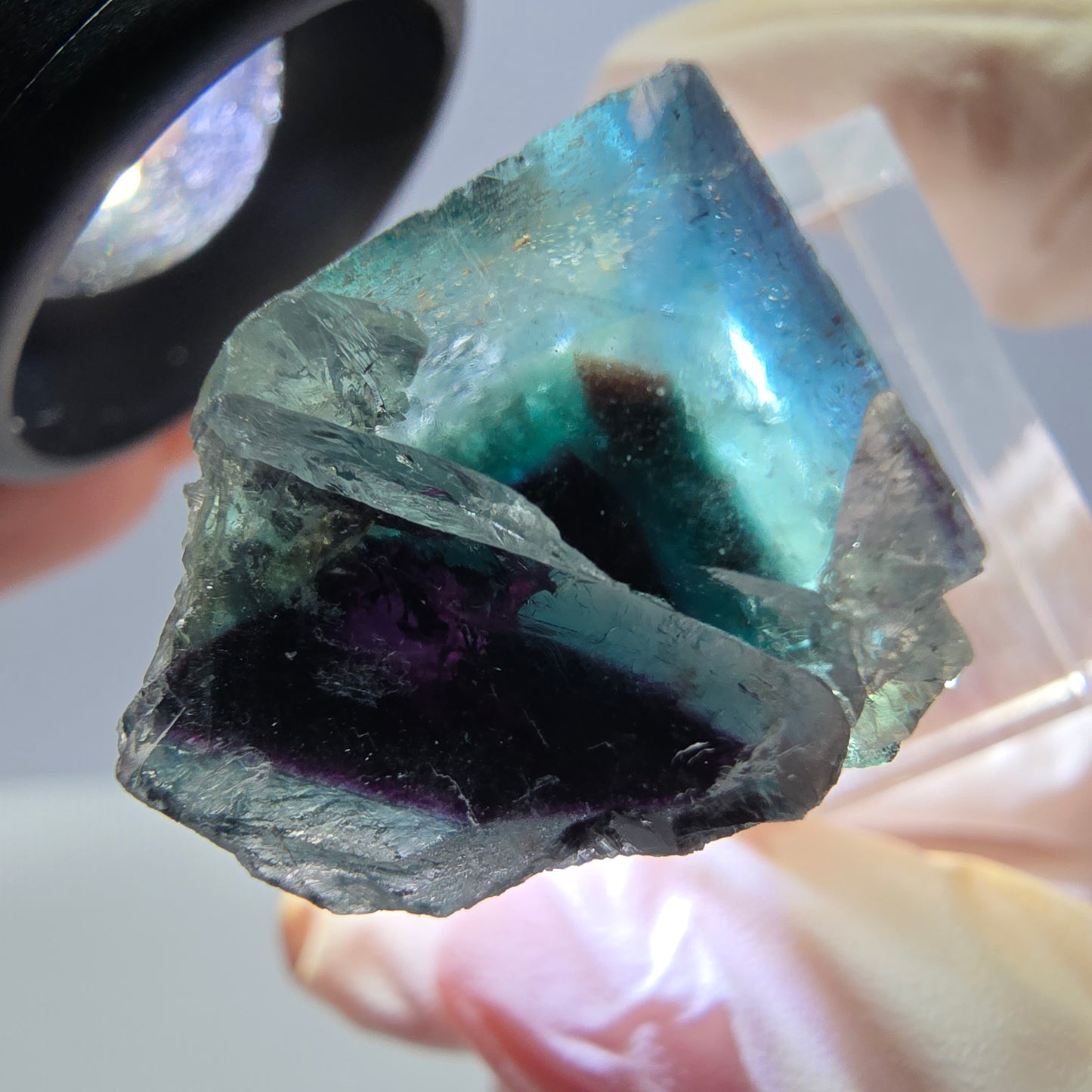 Phantom Fluorit Würfel parkettiert, grün lila Okorusu, Namibia 27*20*16mm