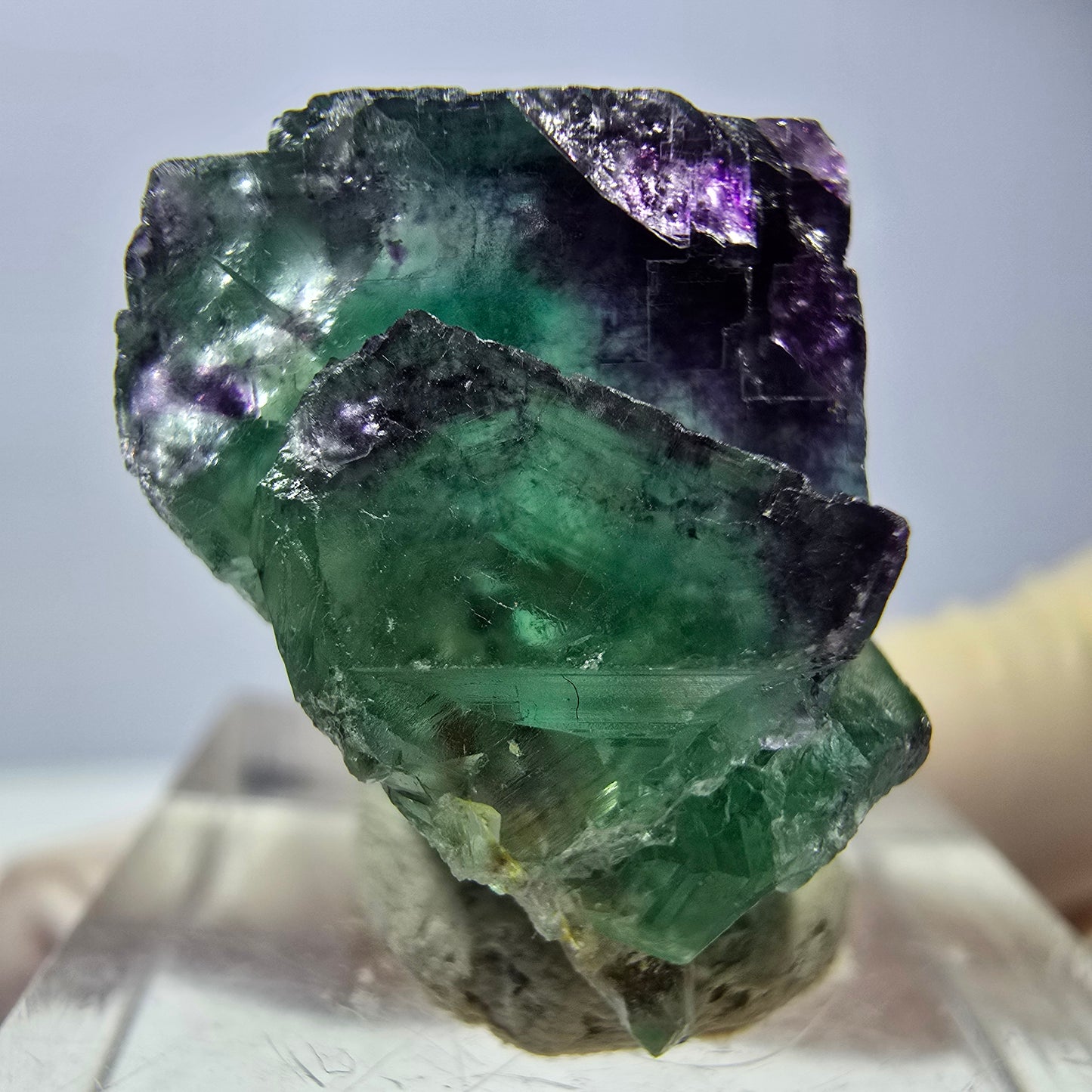 Cube de fluorite fantôme parqueté, zonal, vert violet Okorusu, Namibie 23*22*16mm