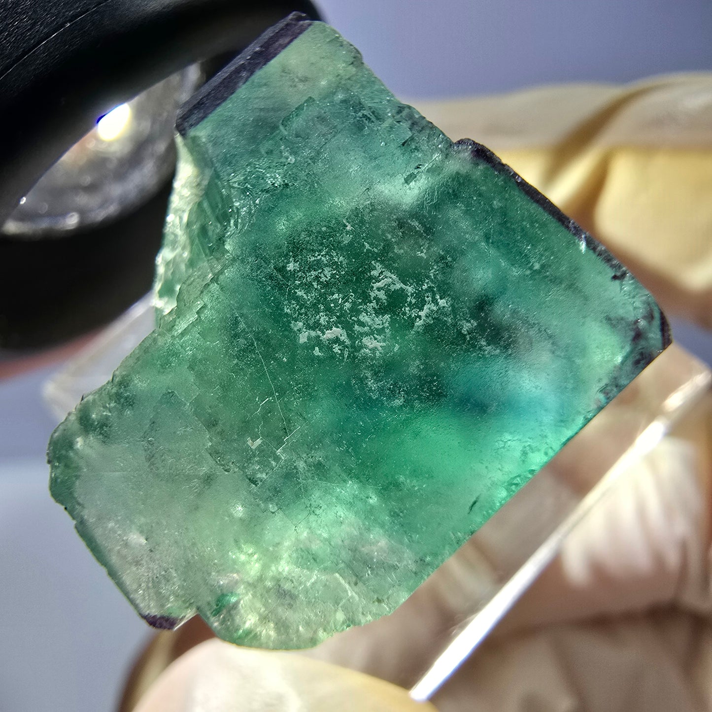 Phantom Fluorit Würfel parkettiert, grün lila Okorusu, Namibia 20*21*19mm