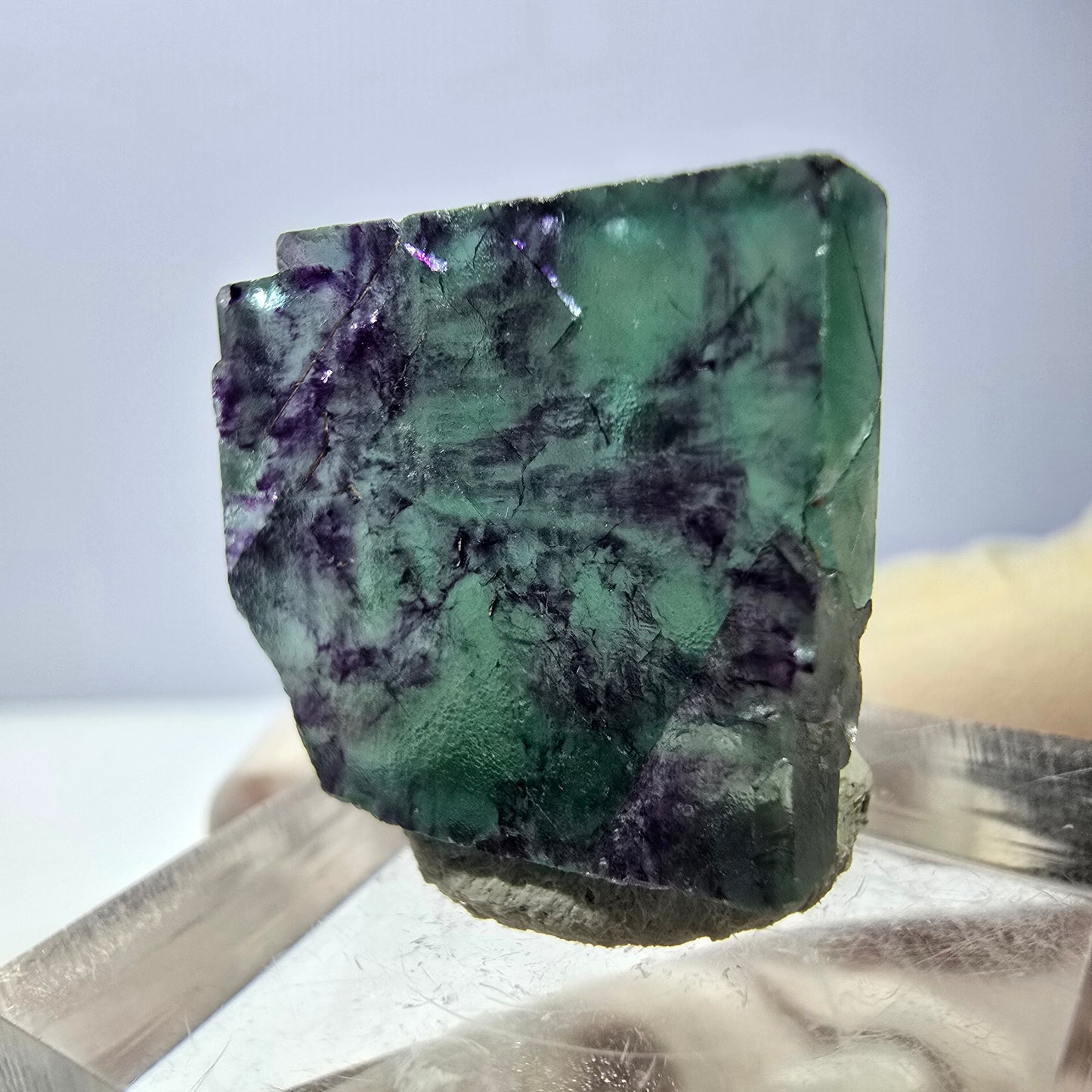 Phantom Fluorit Würfel parkettiert, grün lila Okorusu, Namibia 21*19*8mm