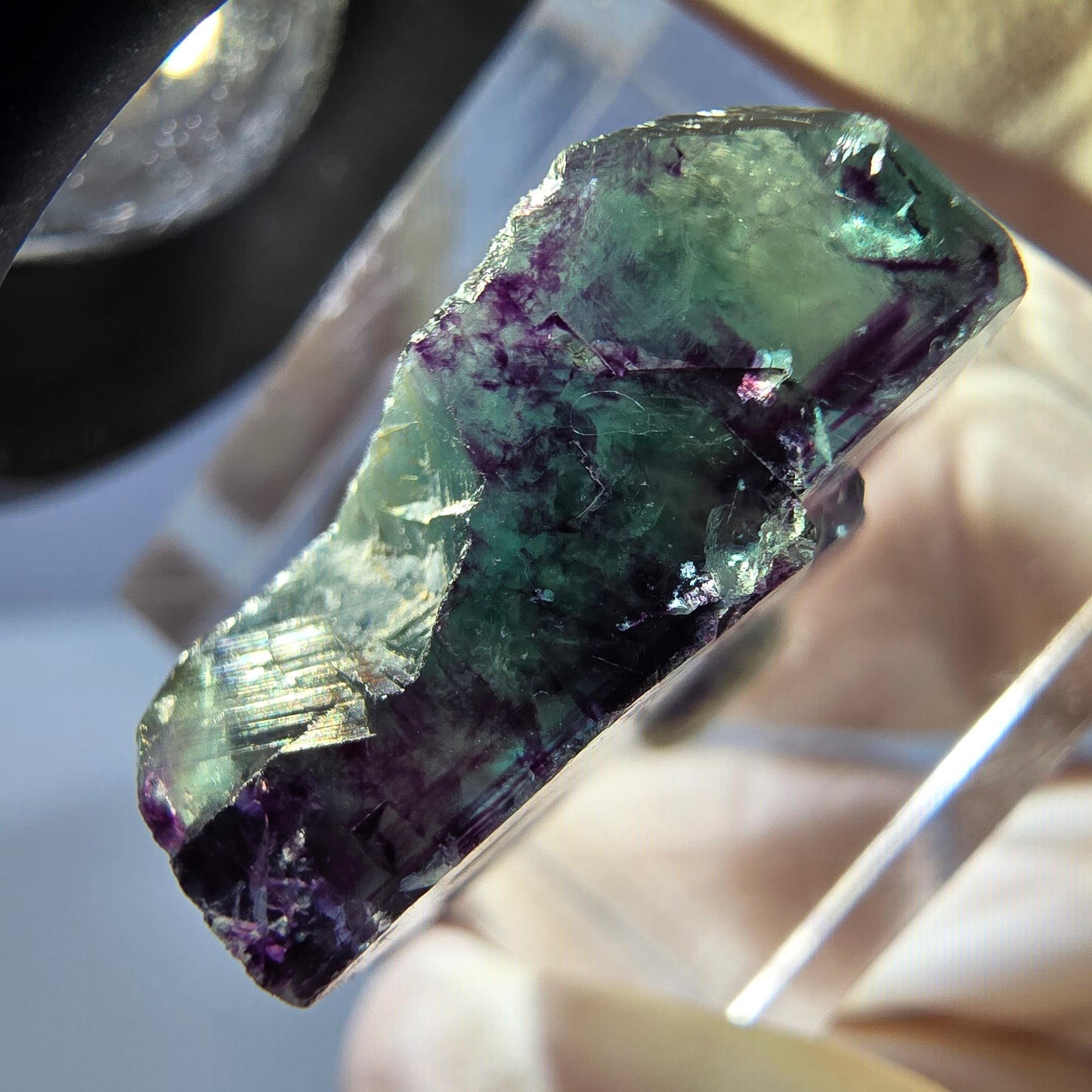 Phantom Fluorit Würfel parkettiert, grün lila Okorusu, Namibia 19*17*9mm