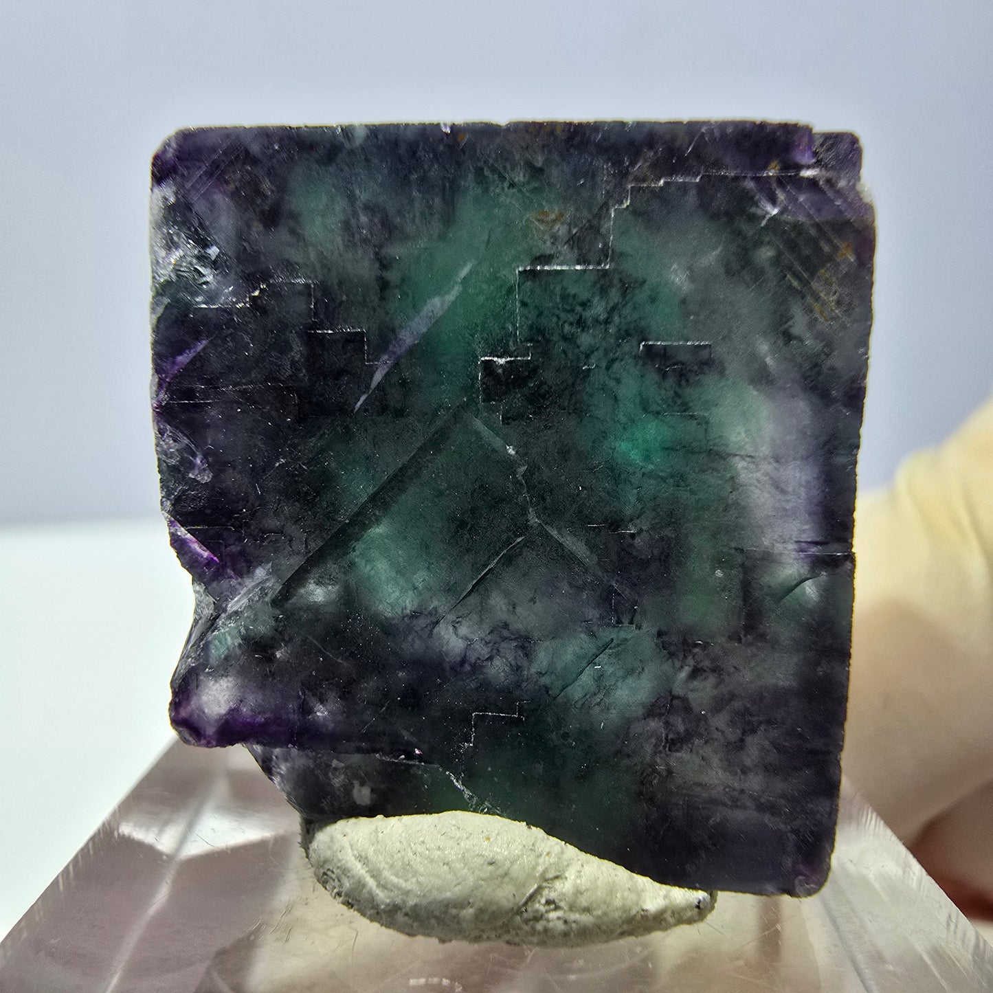 Phantom Fluorit Würfel parkettiert, grün lila Okorusu, Namibia 23*22*18mm