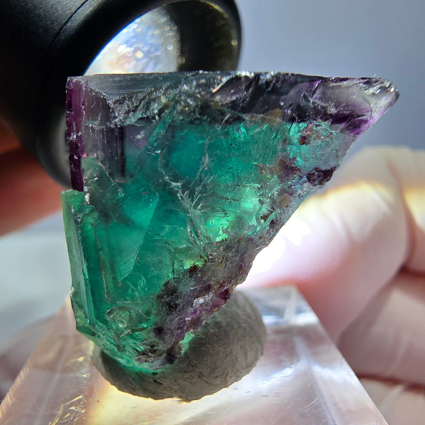 Phantom Fluorit Würfel parkettiert, grün lila Okorusu, Namibia 25*23*20mm