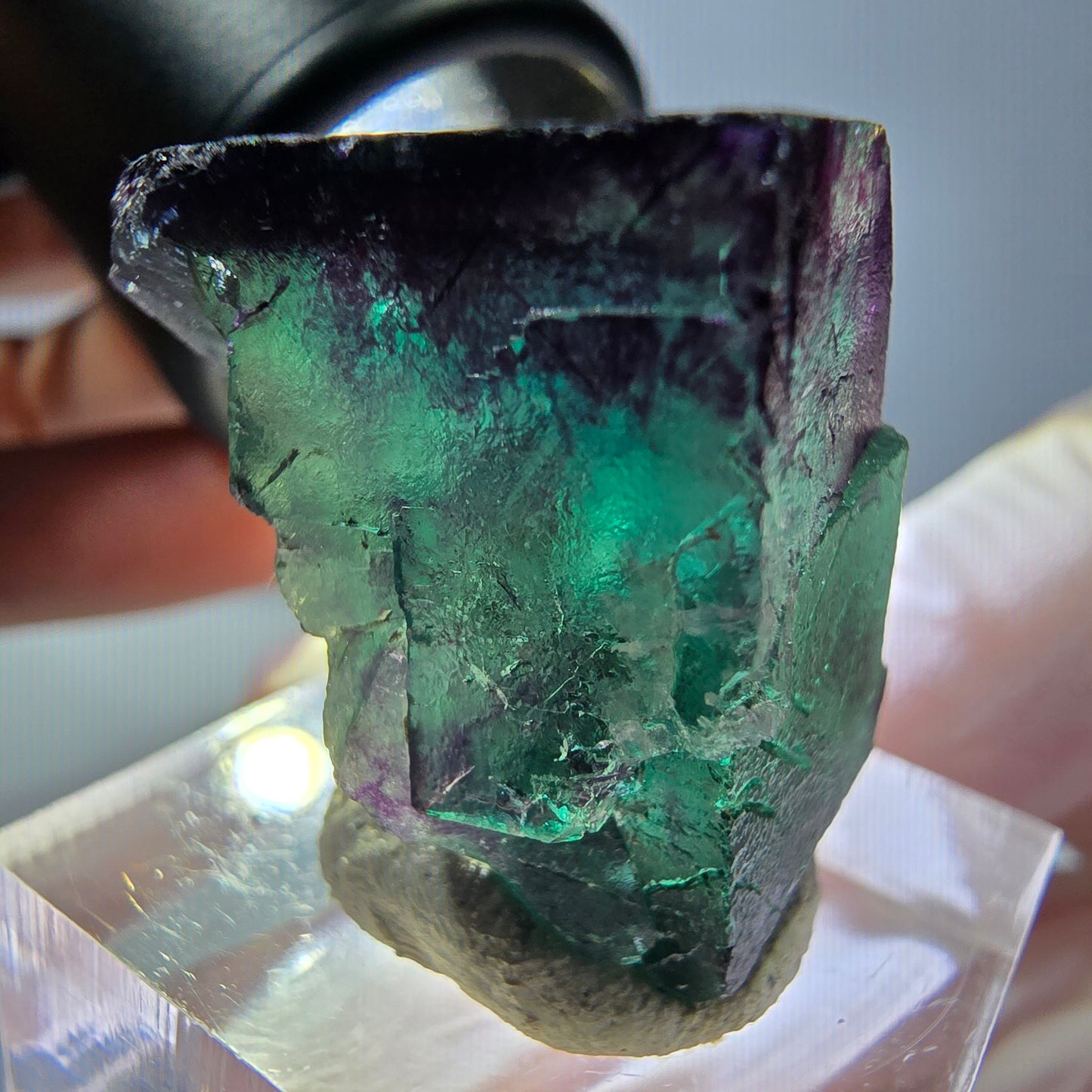 Phantom Fluorit Würfel parkettiert, grün lila Okorusu, Namibia 25*23*20mm