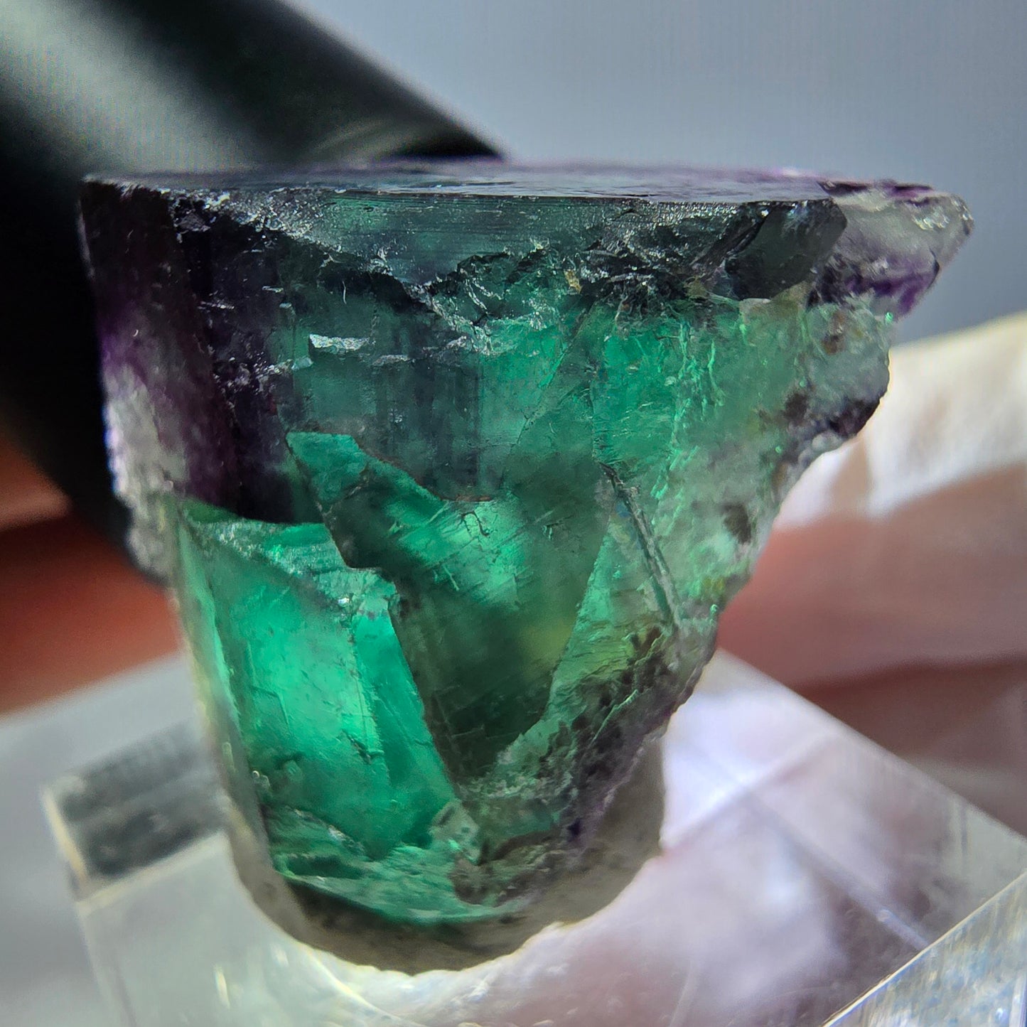 Phantom Fluorit Würfel parkettiert, grün lila Okorusu, Namibia 25*23*20mm