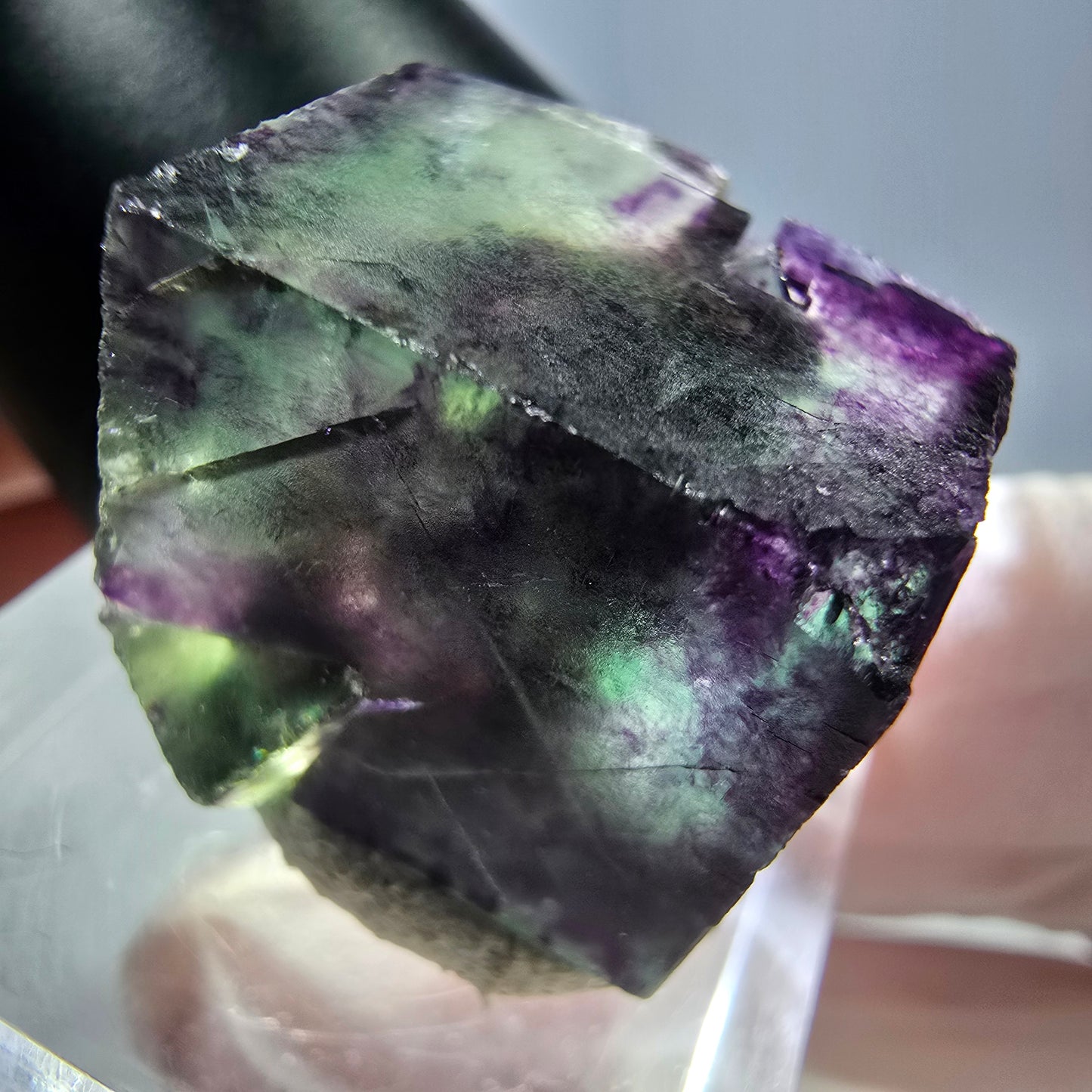 Phantom Fluorit Würfel parkettiert, grün lila Okorusu, Namibia 19*18*17mm