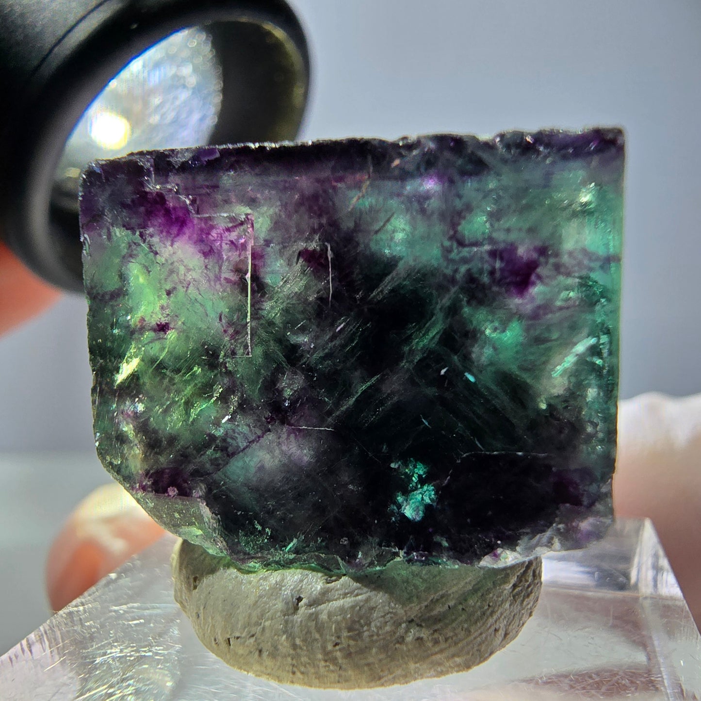 Phantom Fluorit Würfel parkettiert, grün lila Okorusu, Namibia 22*20*14mm