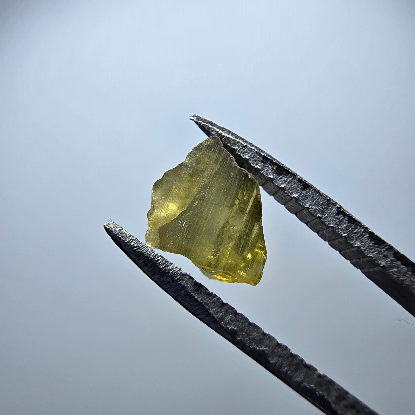 Seltener Verdelith Turmalin Kristall, grün Minas Gerais, Brasilien 7*6*4mm