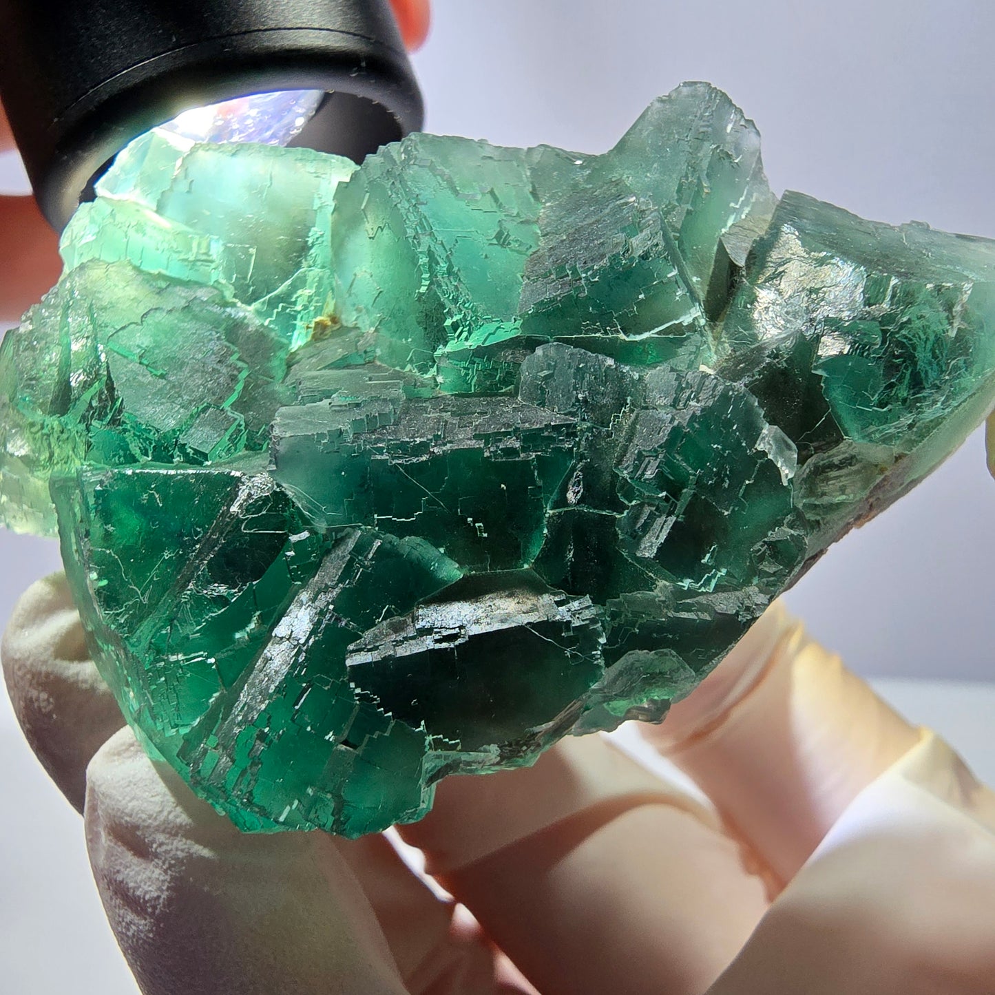 Rare spécimen de cube de fluorite fantôme, parqueté vert Okorusu, Namibie, 61 x 45 x 28 mm
